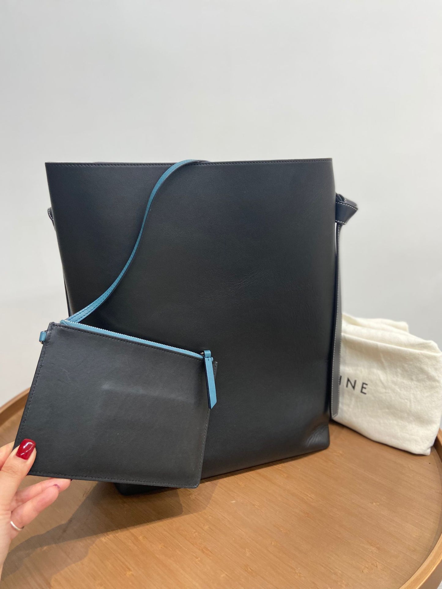 Celine twisted cabas拼色