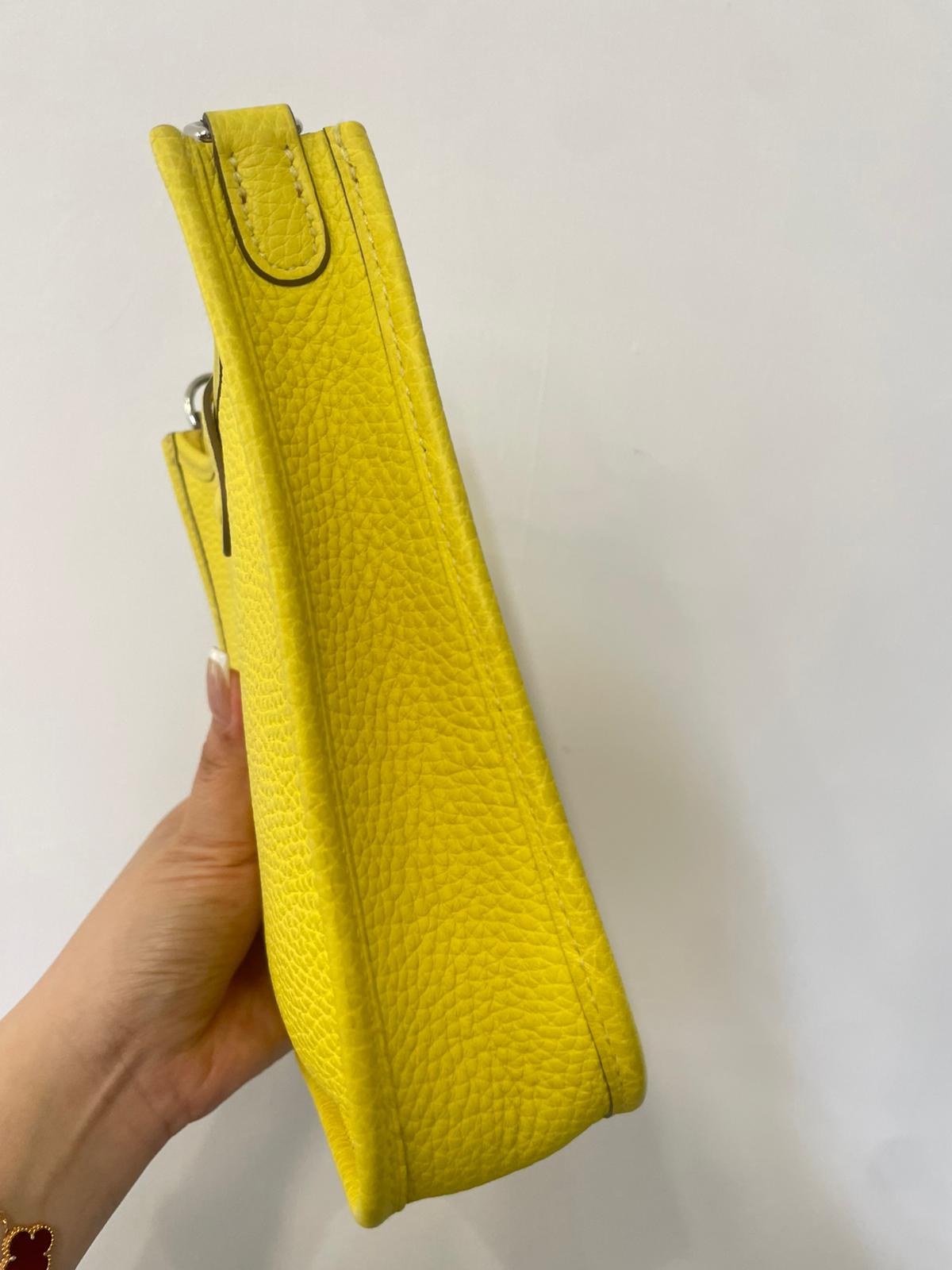 Hermes mini evelyne