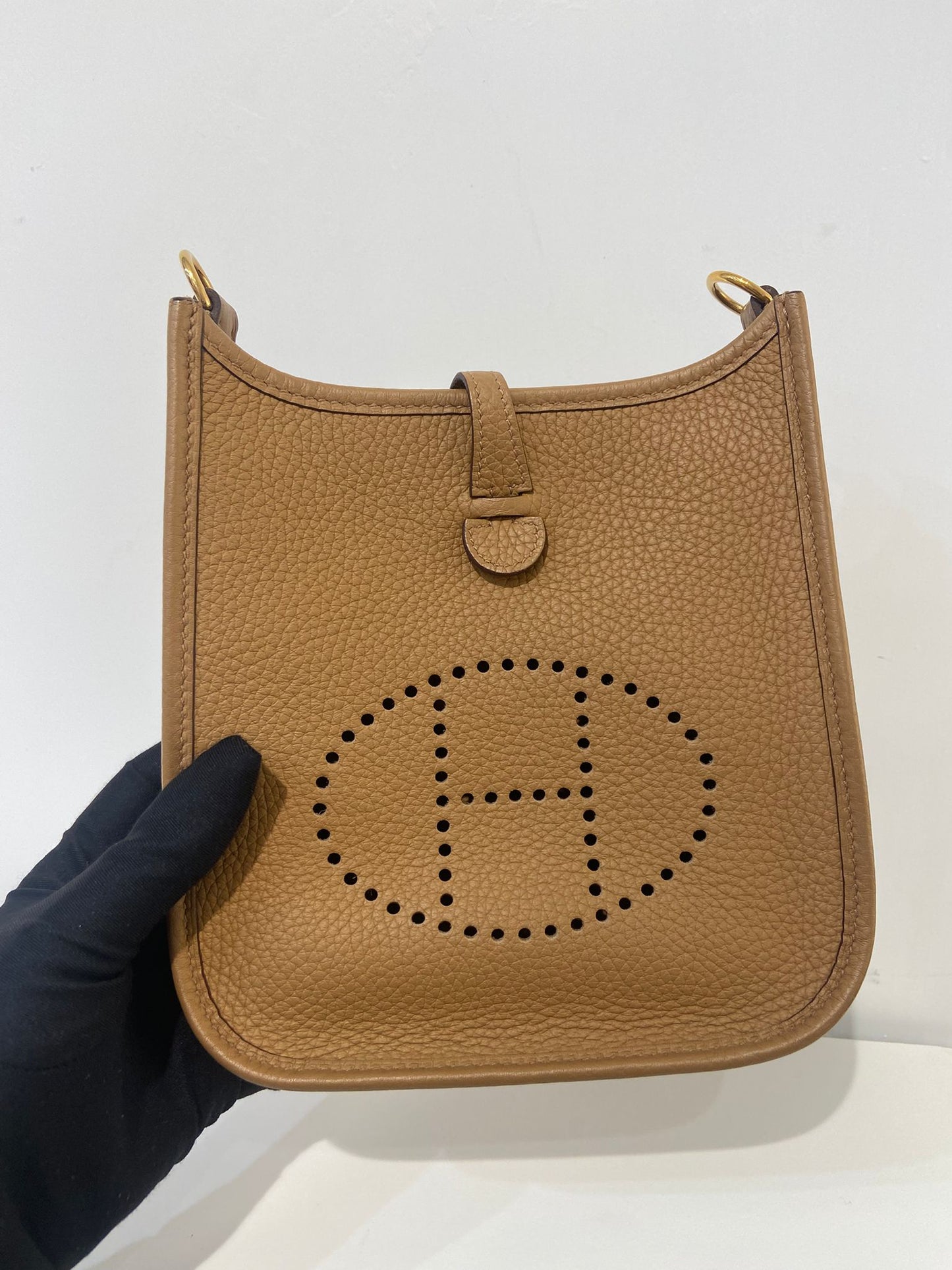 Hermes mini evelyne