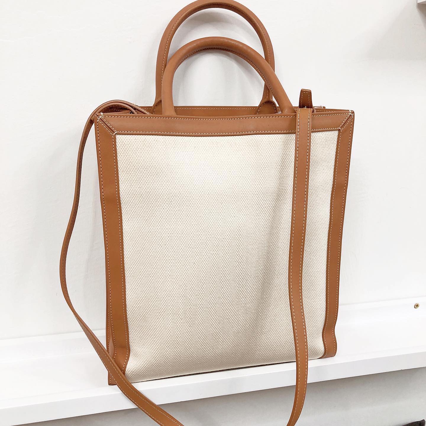 Celine Small Vertical Cabas in Canvas