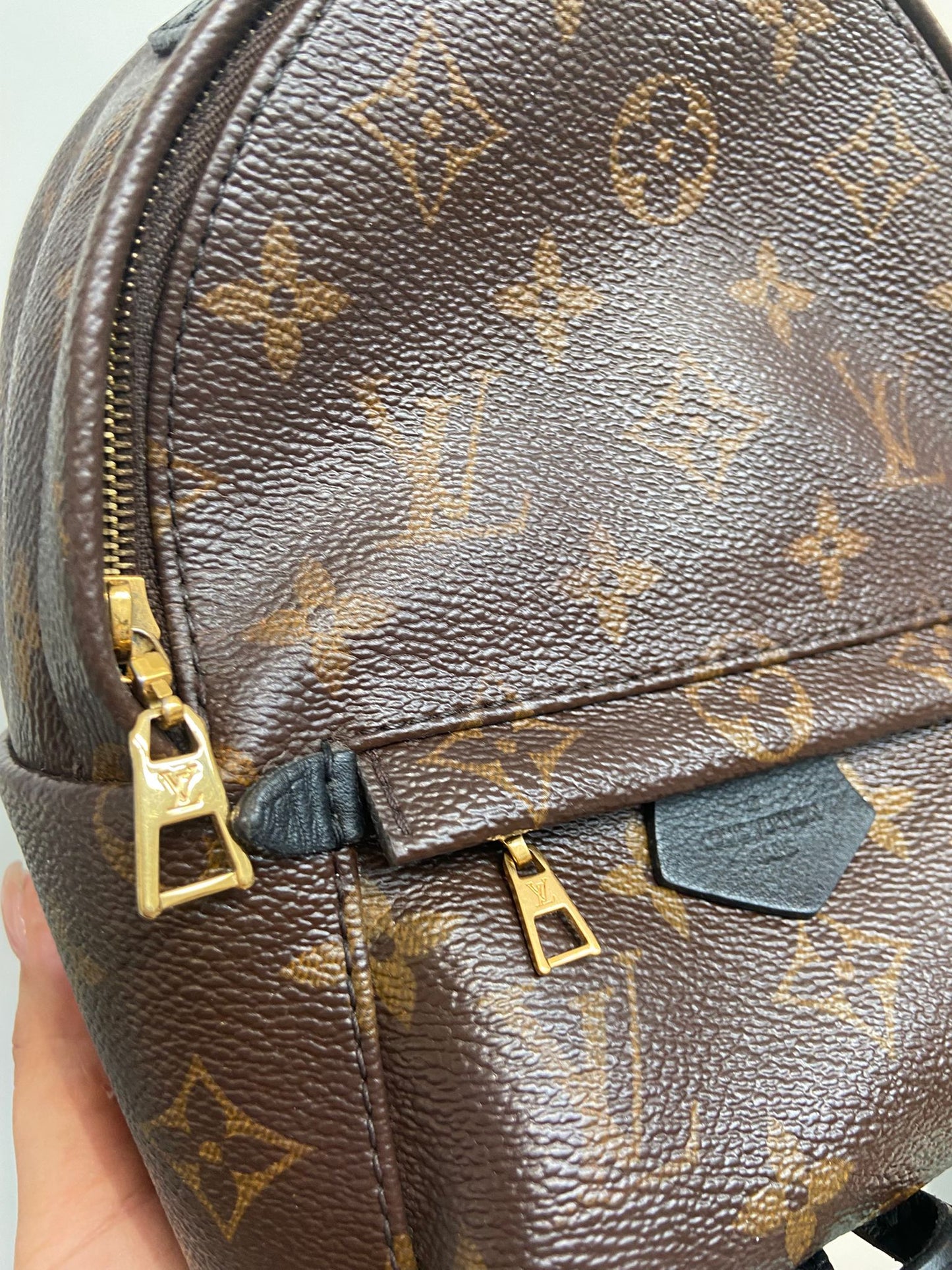 LV mini backpack