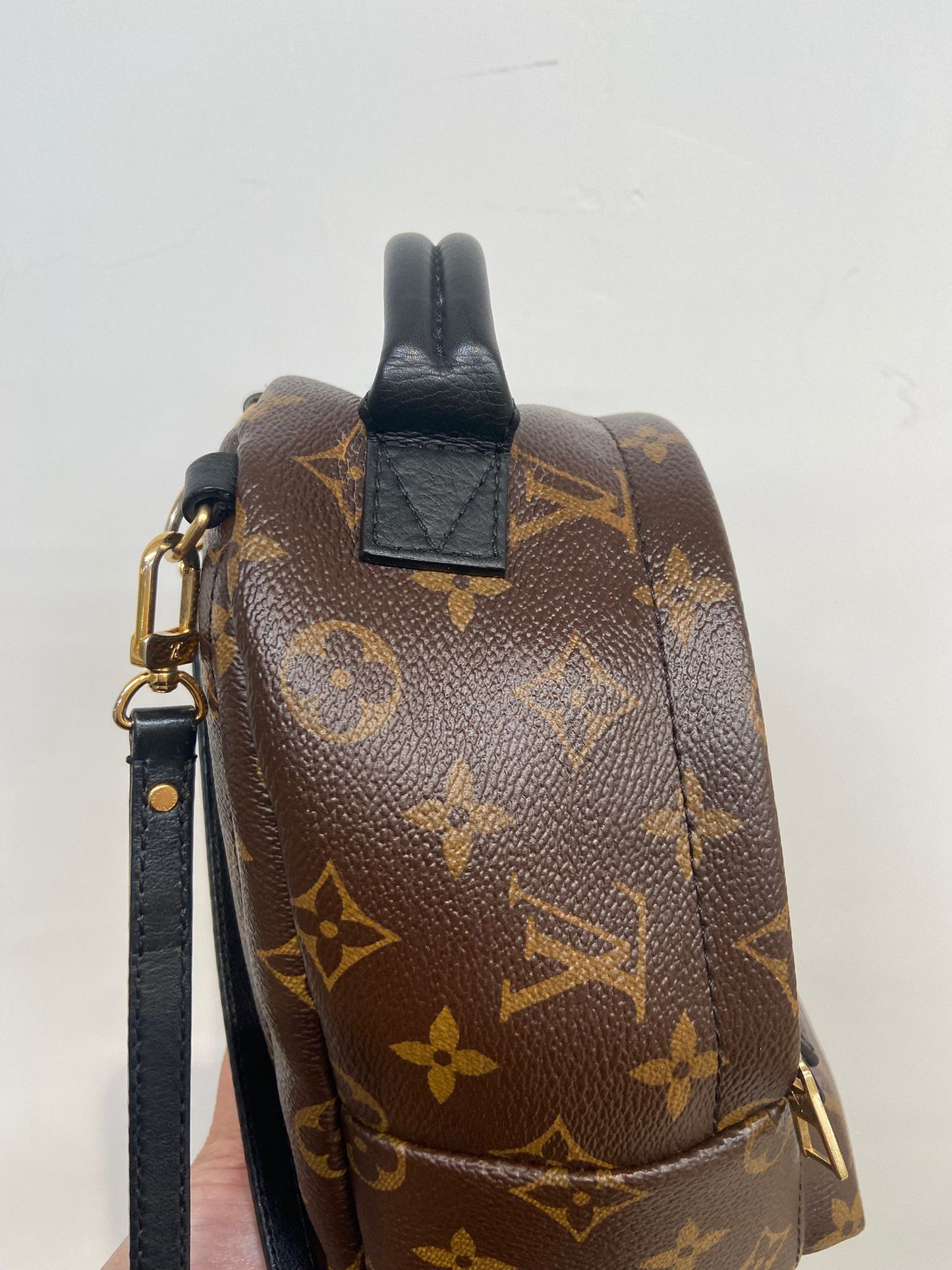 LV mini backpack