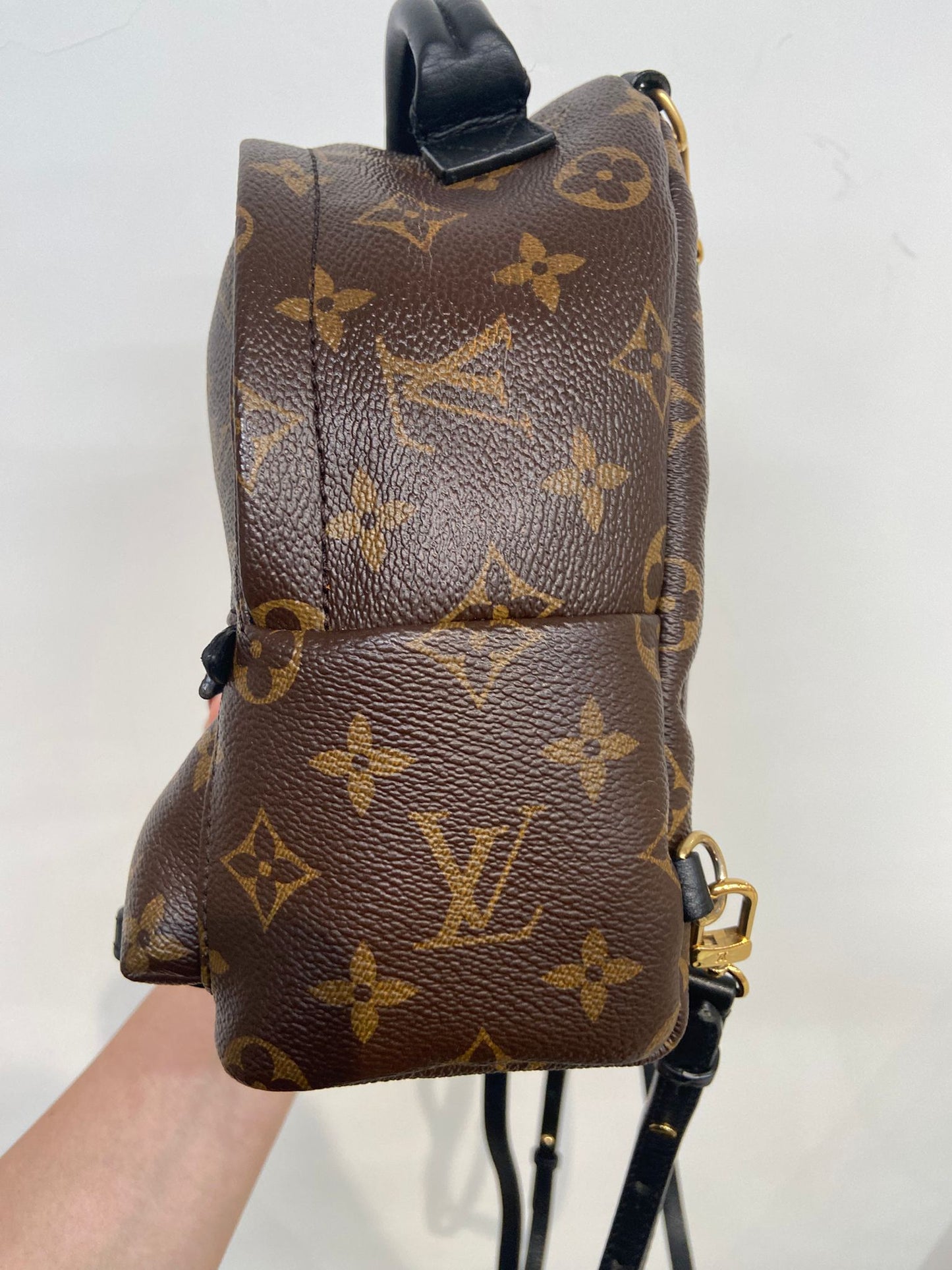 LV mini backpack