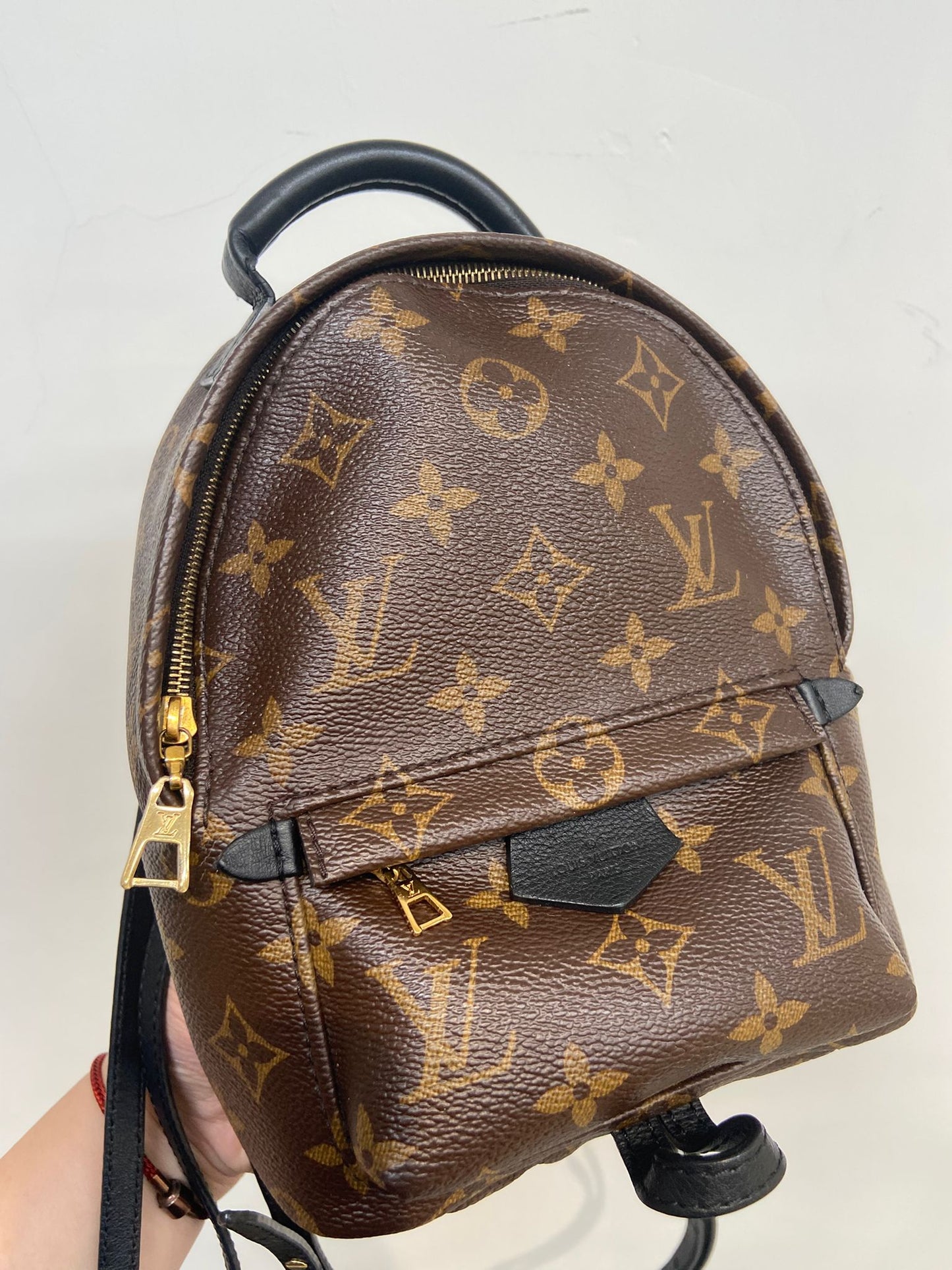 LV mini backpack