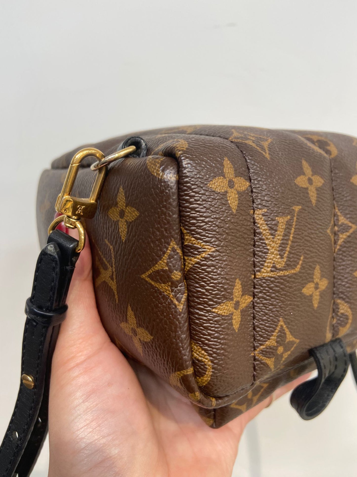 LV mini backpack