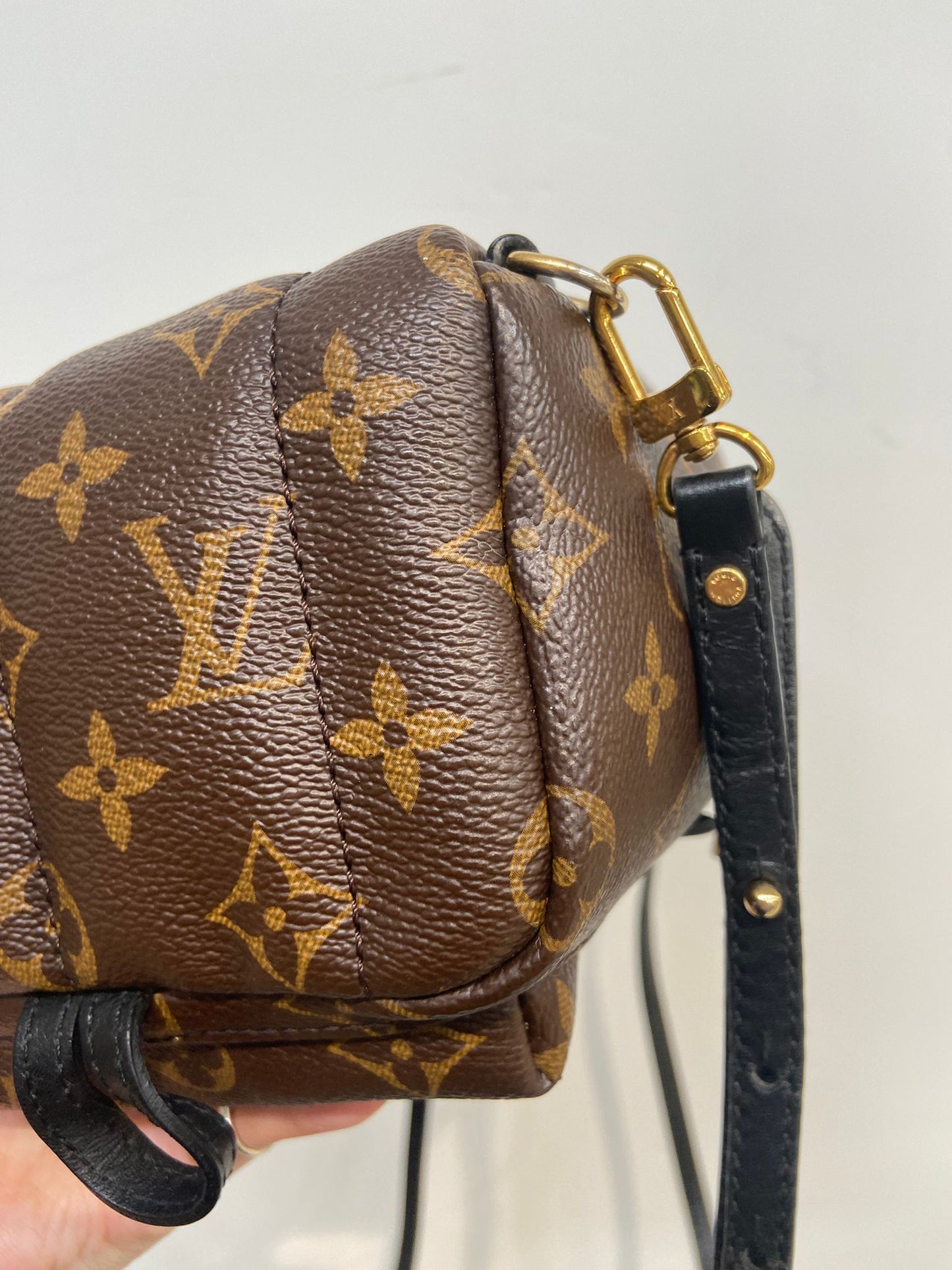 LV mini backpack