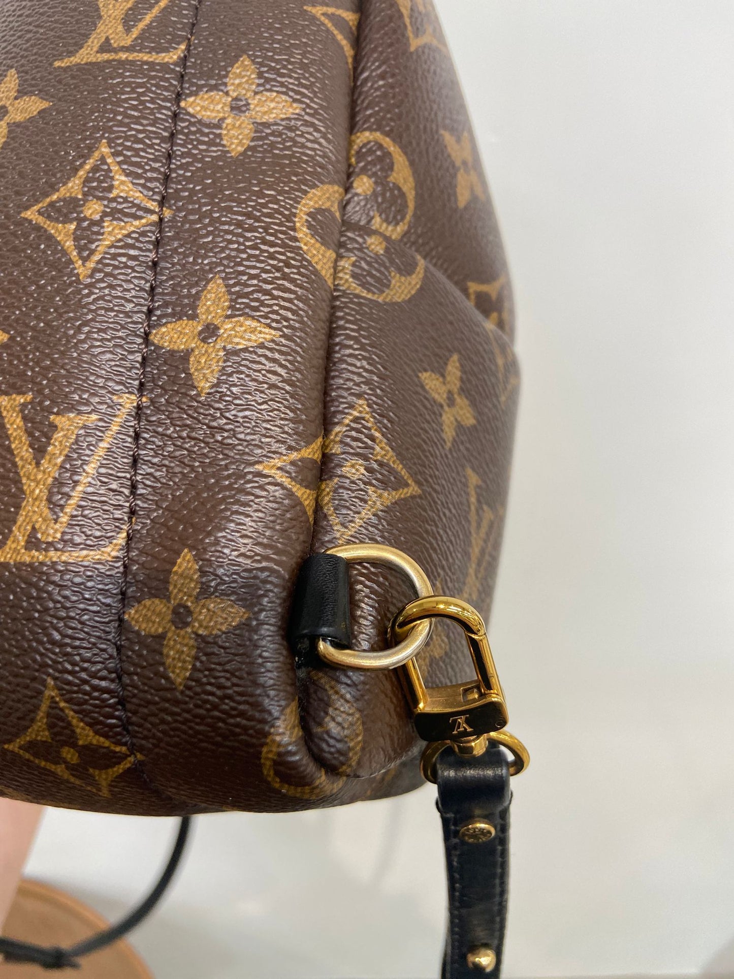 LV mini backpack