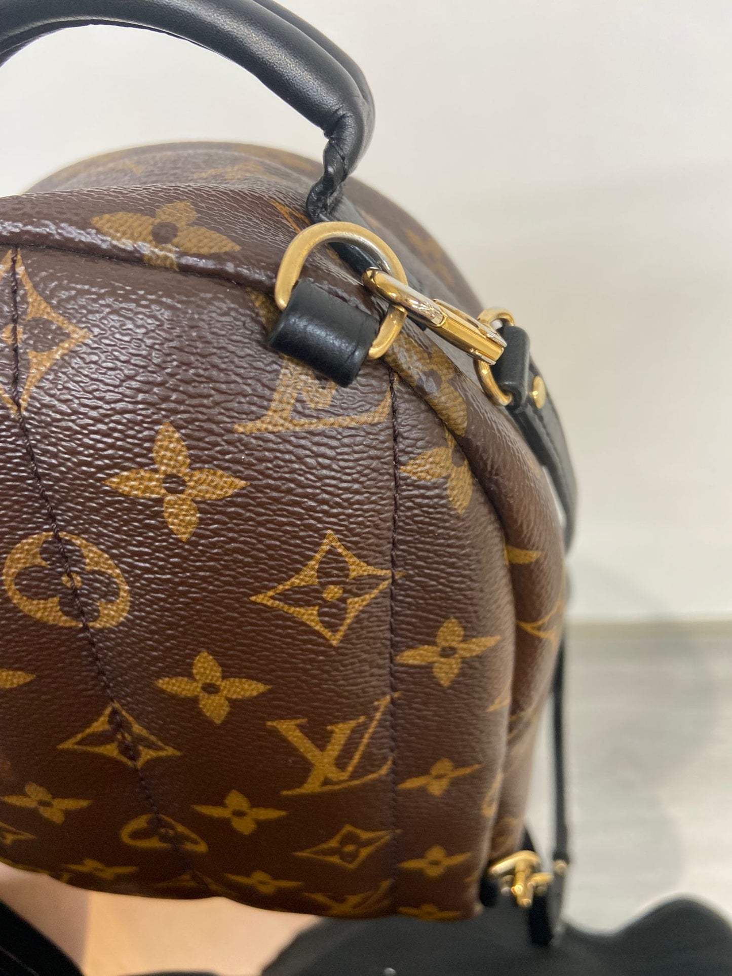 LV mini backpack