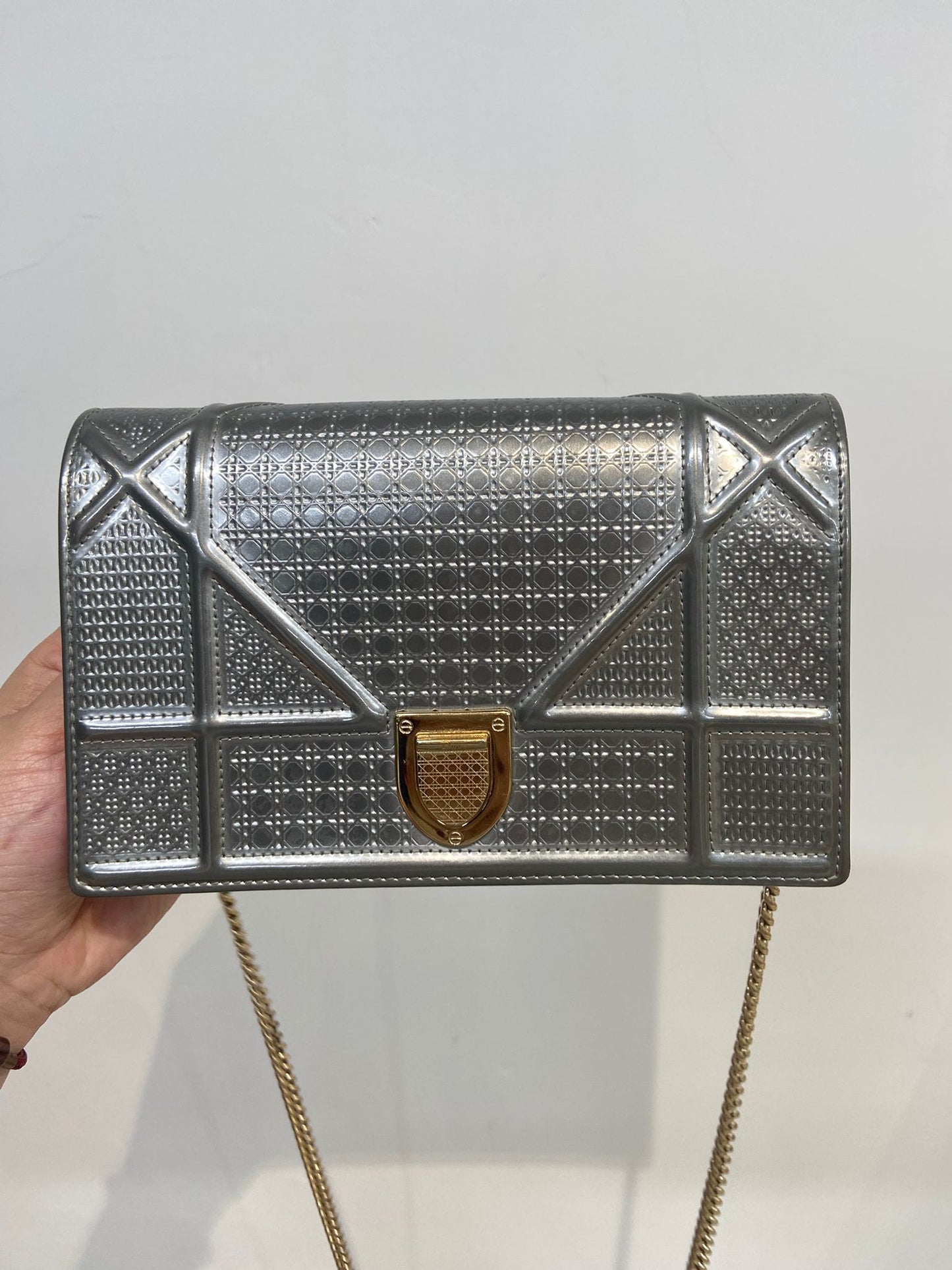 DIOR 銀色盾牌WOC