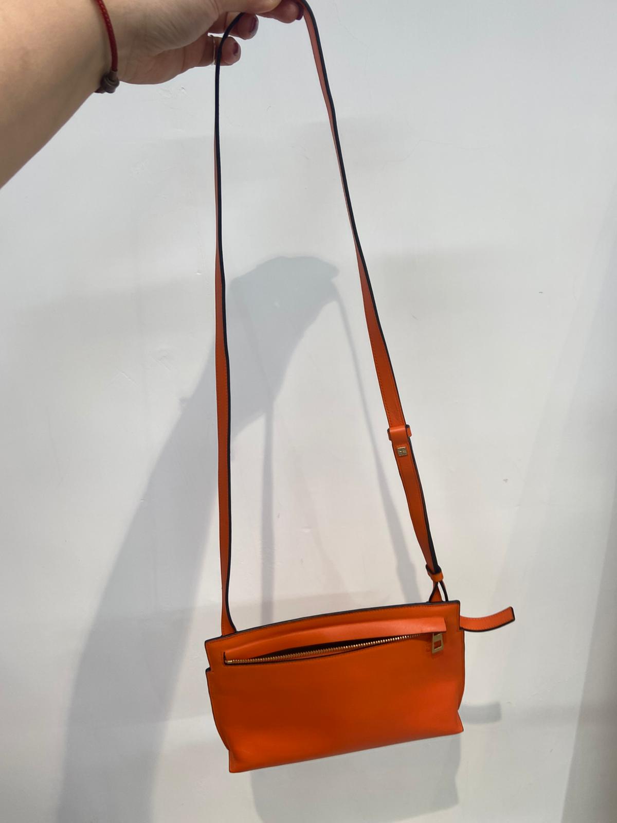 Loewe bag 斜孭袋