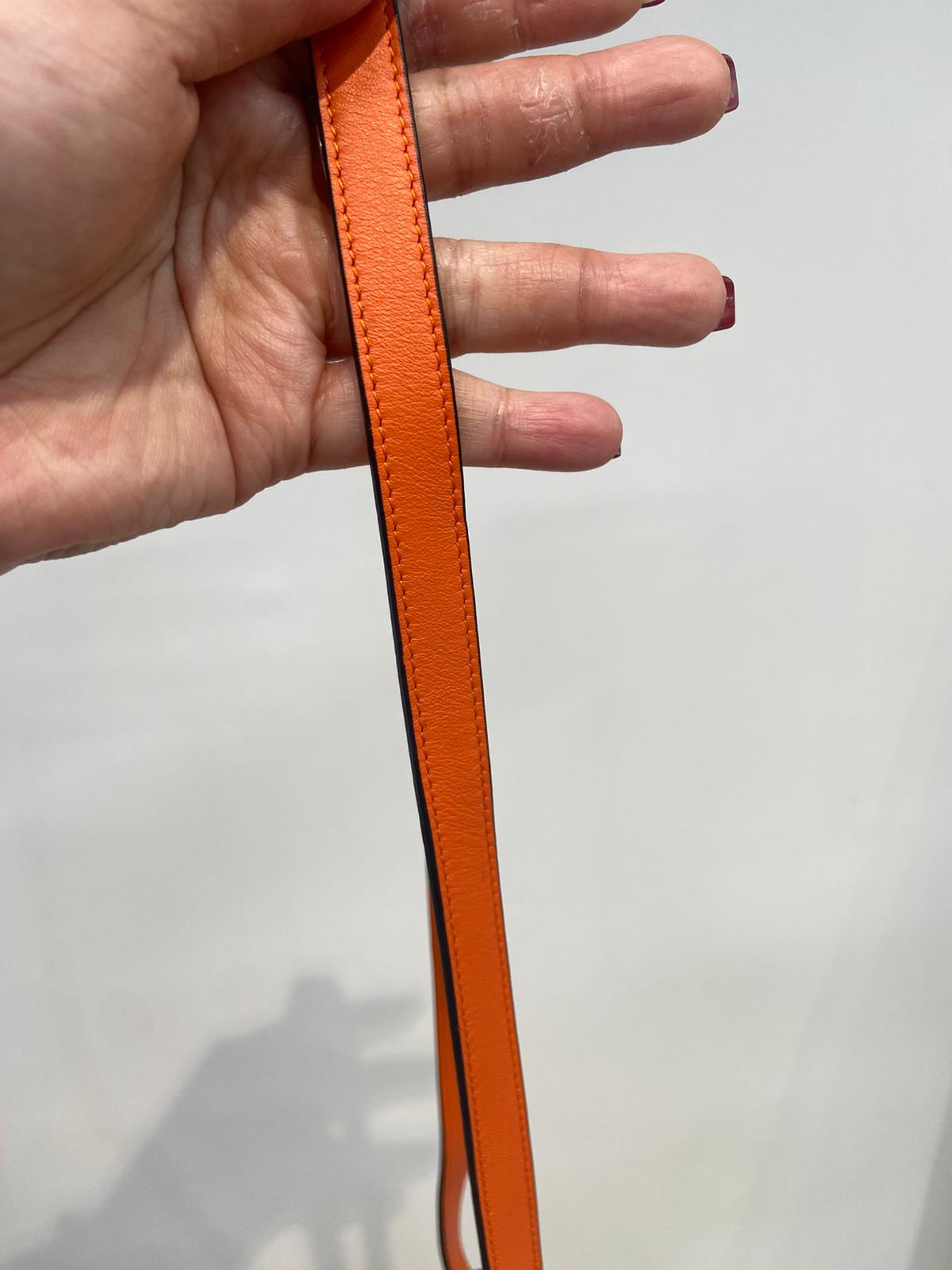 Loewe bag 斜孭袋
