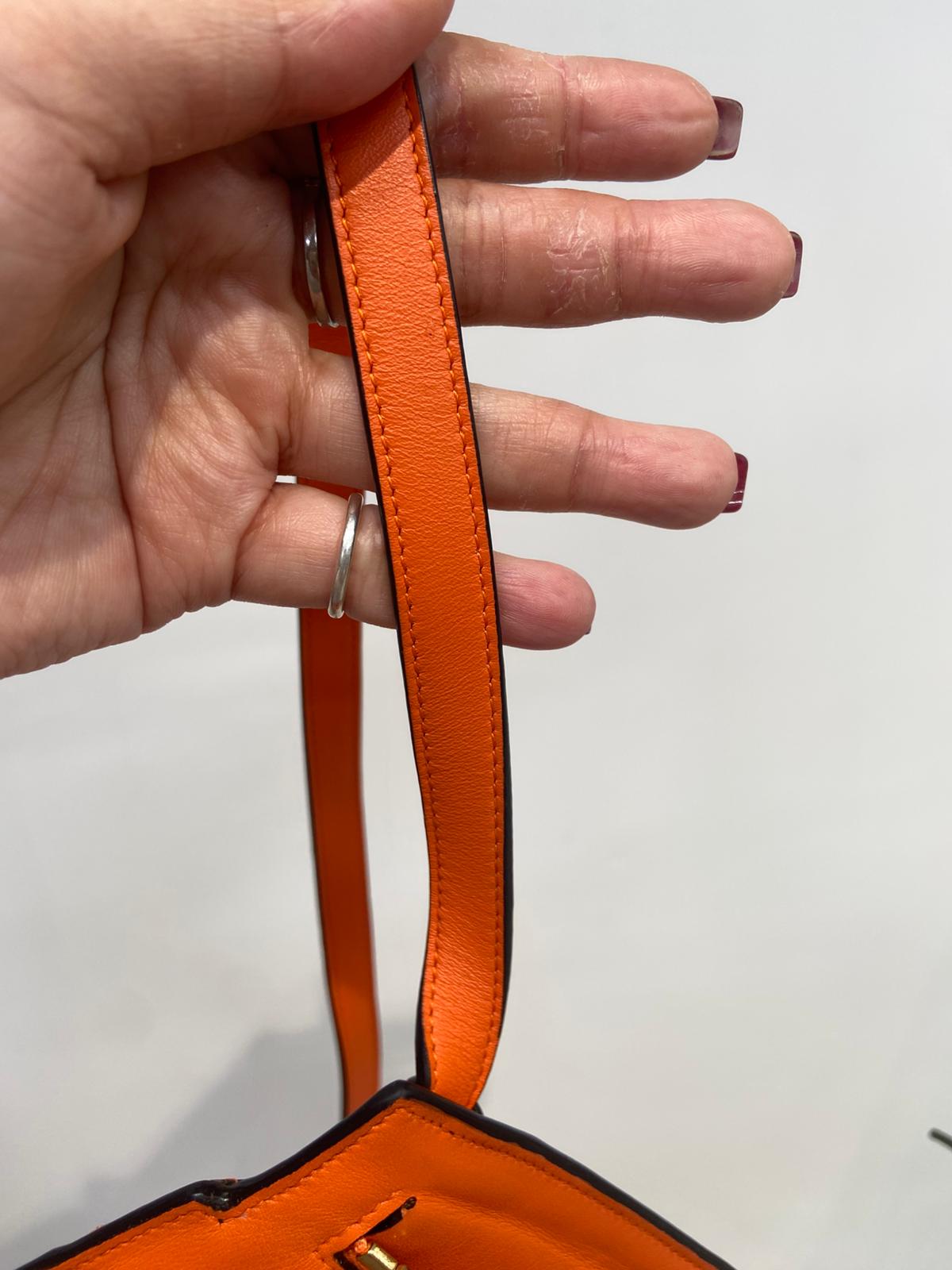 Loewe bag 斜孭袋