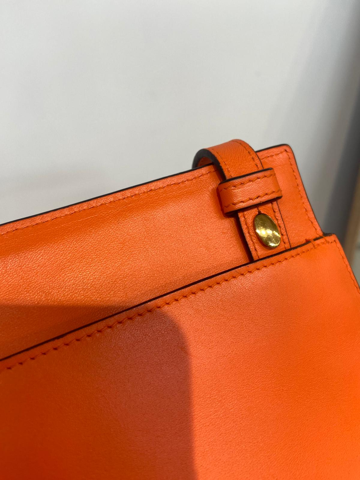 Loewe bag 斜孭袋