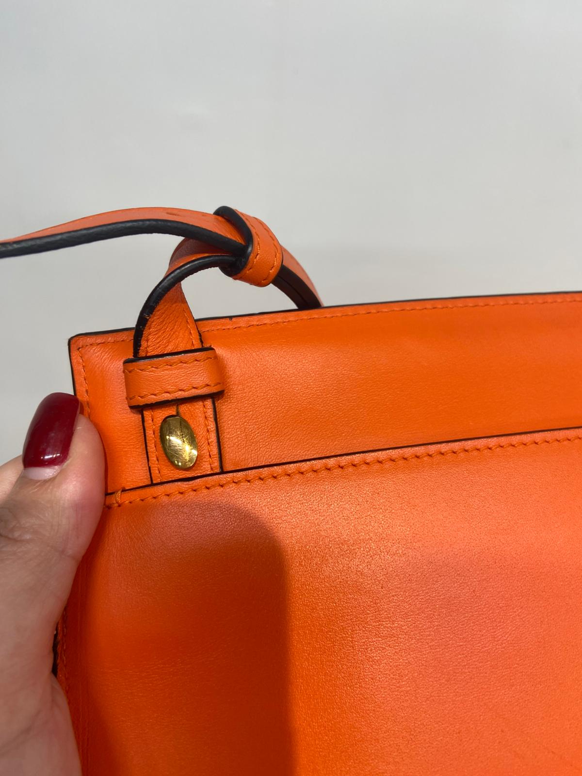 Loewe bag 斜孭袋