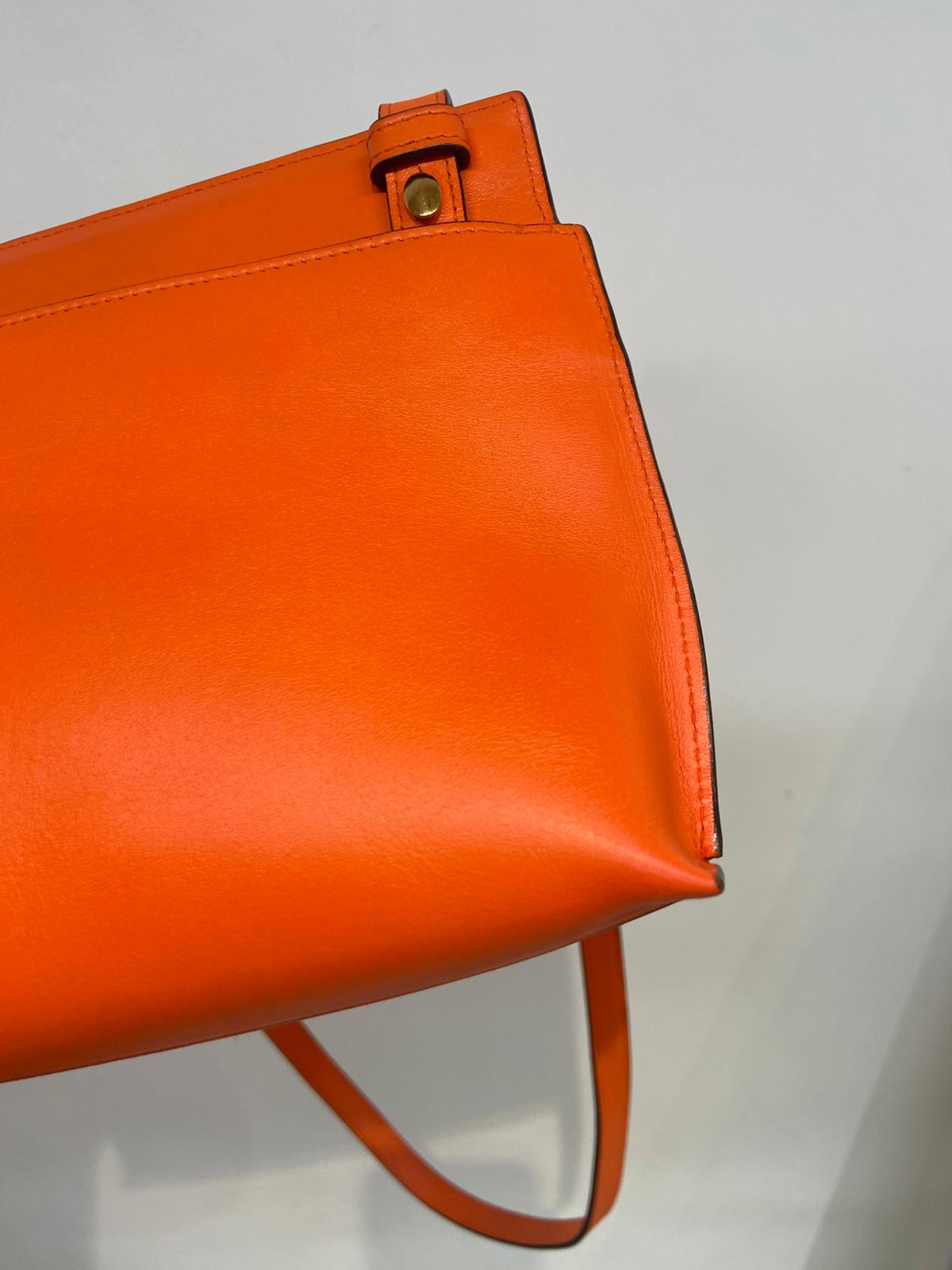 Loewe bag 斜孭袋