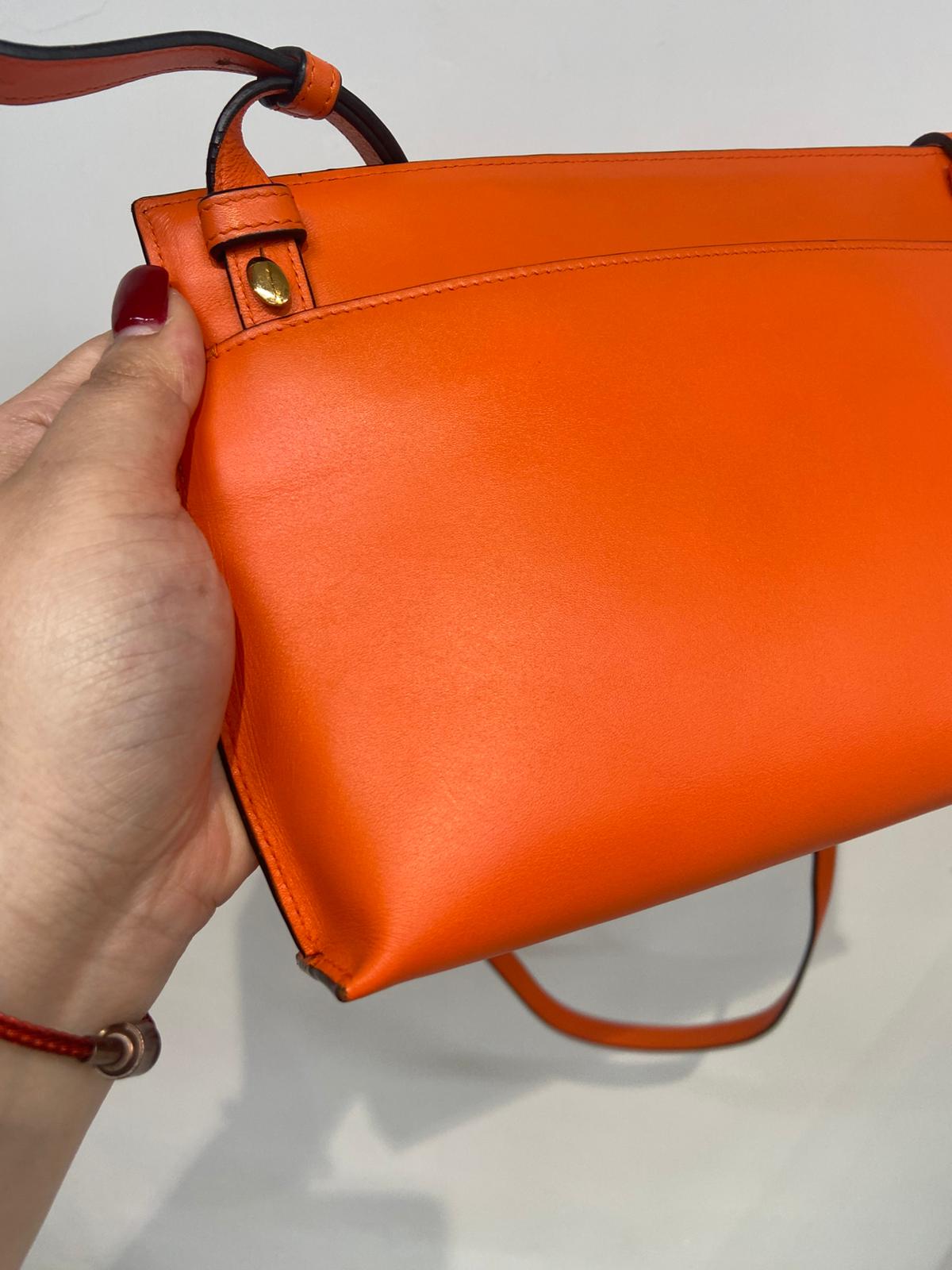Loewe bag 斜孭袋