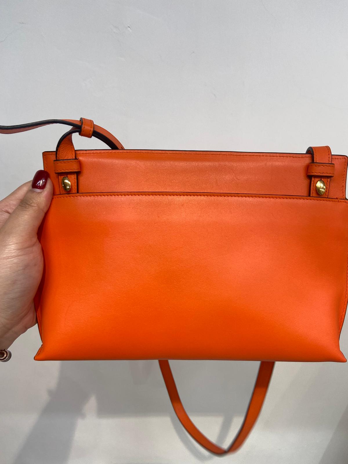 Loewe bag 斜孭袋