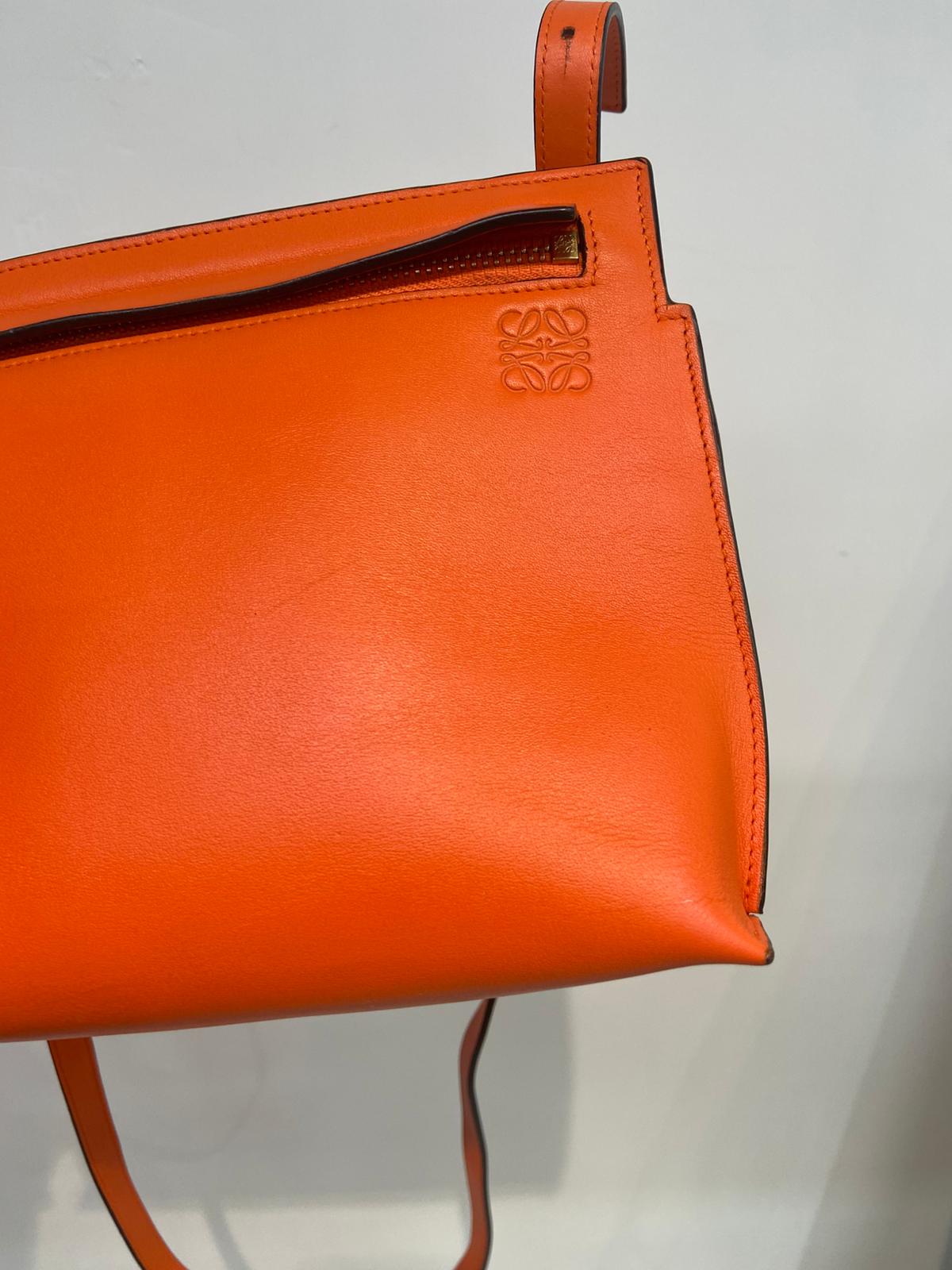 Loewe bag 斜孭袋
