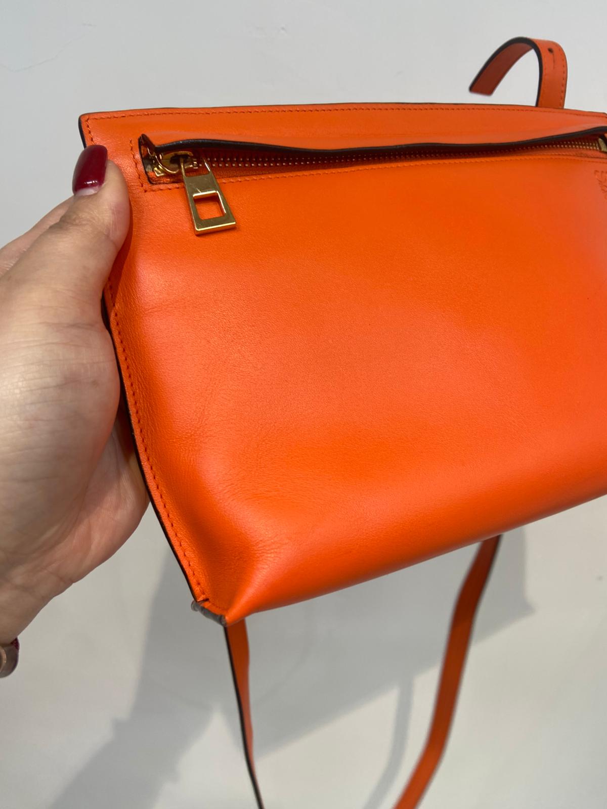 Loewe bag 斜孭袋