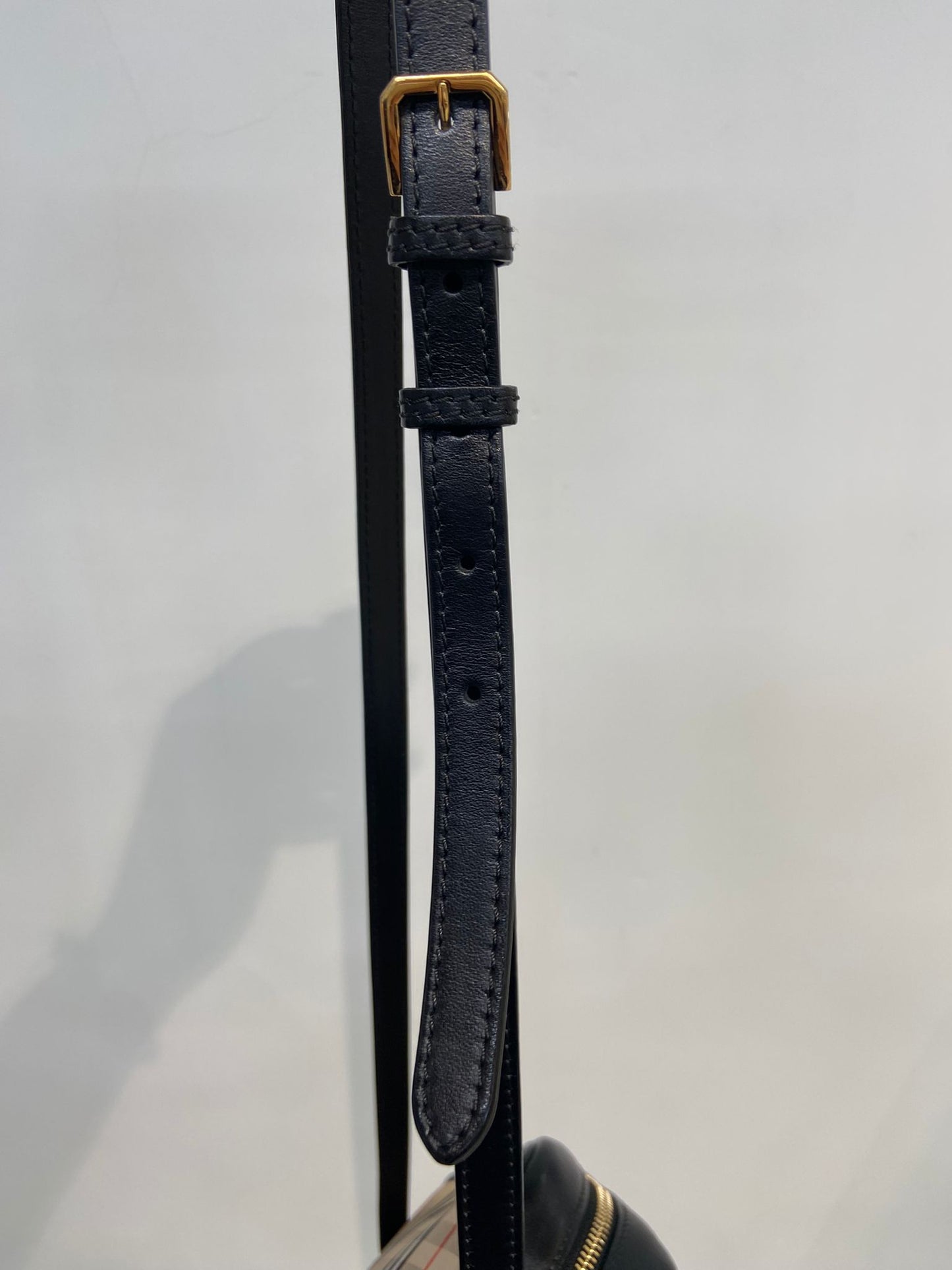 Burberry camera bag