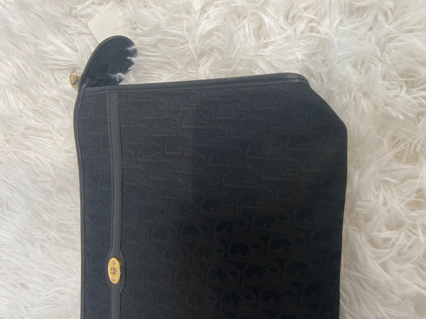 Dior pouch