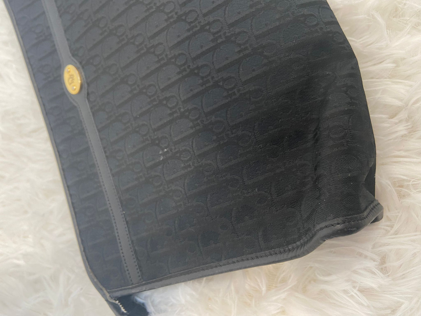 Dior pouch