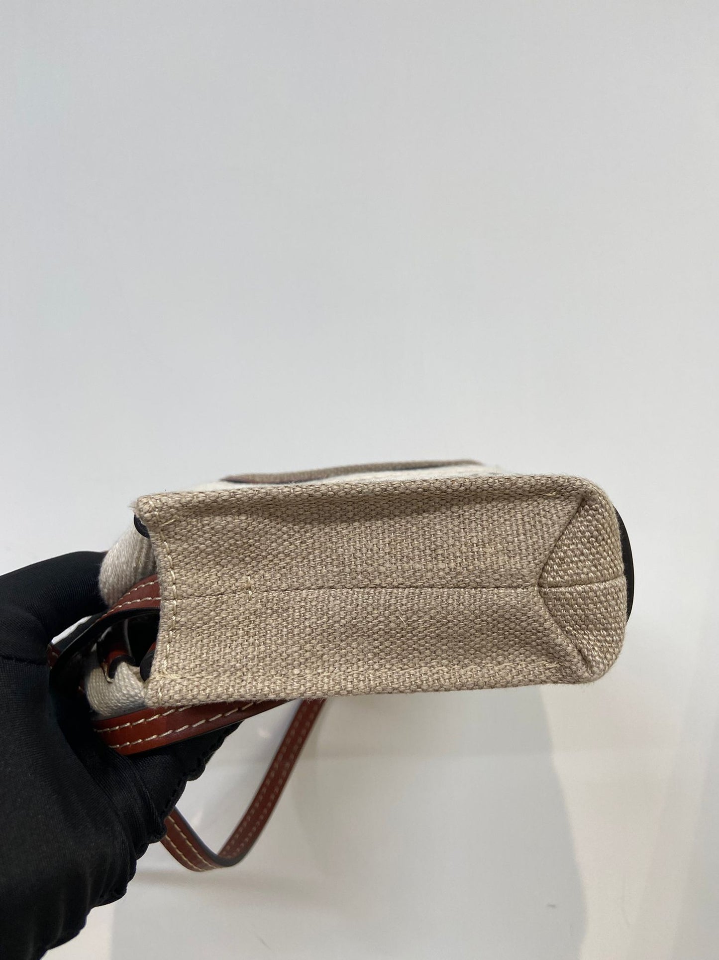 Chole Woody tote Nano