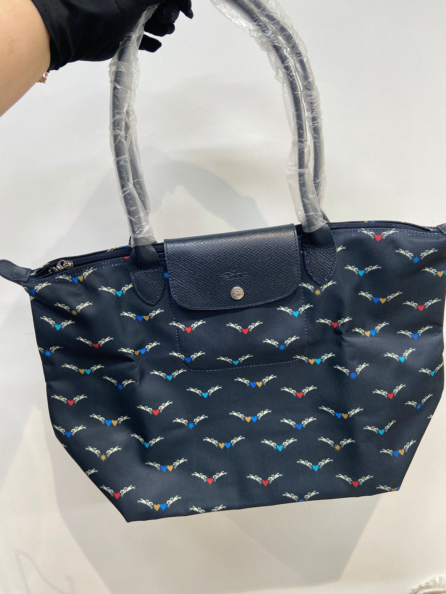 Longchamp le pliage
