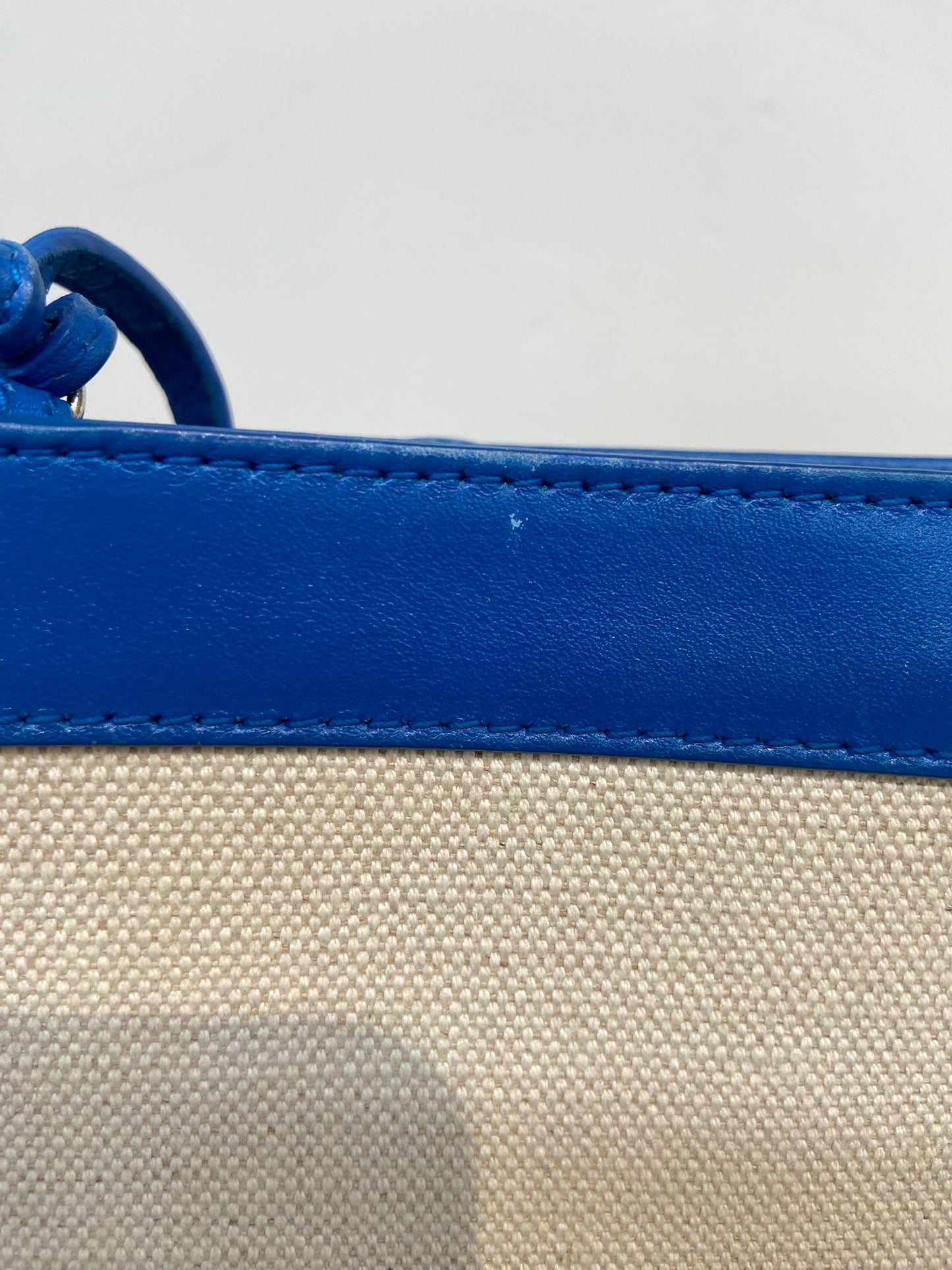 Balenciaga帆布配皮斜孭袋