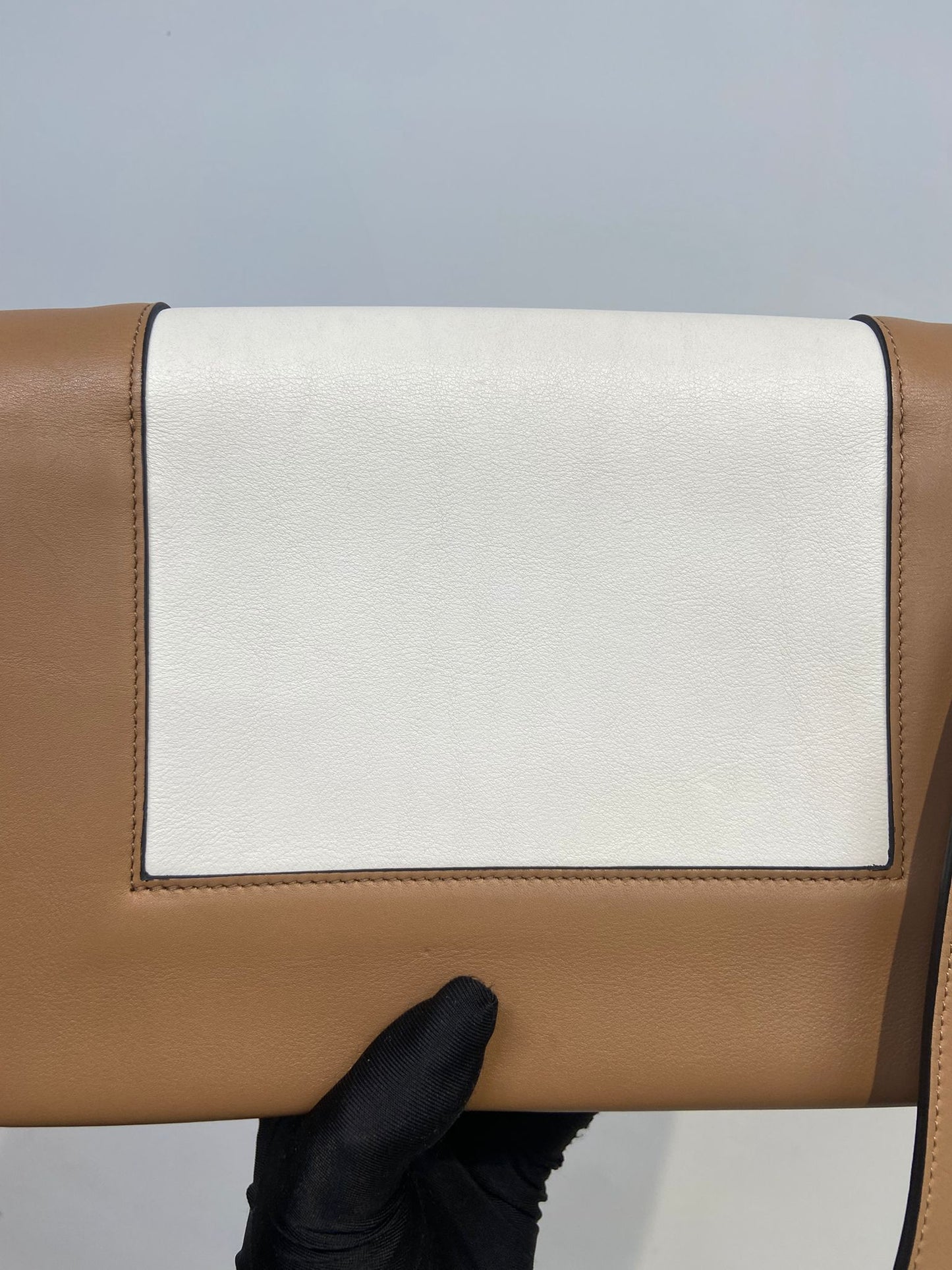 Celine frame bag