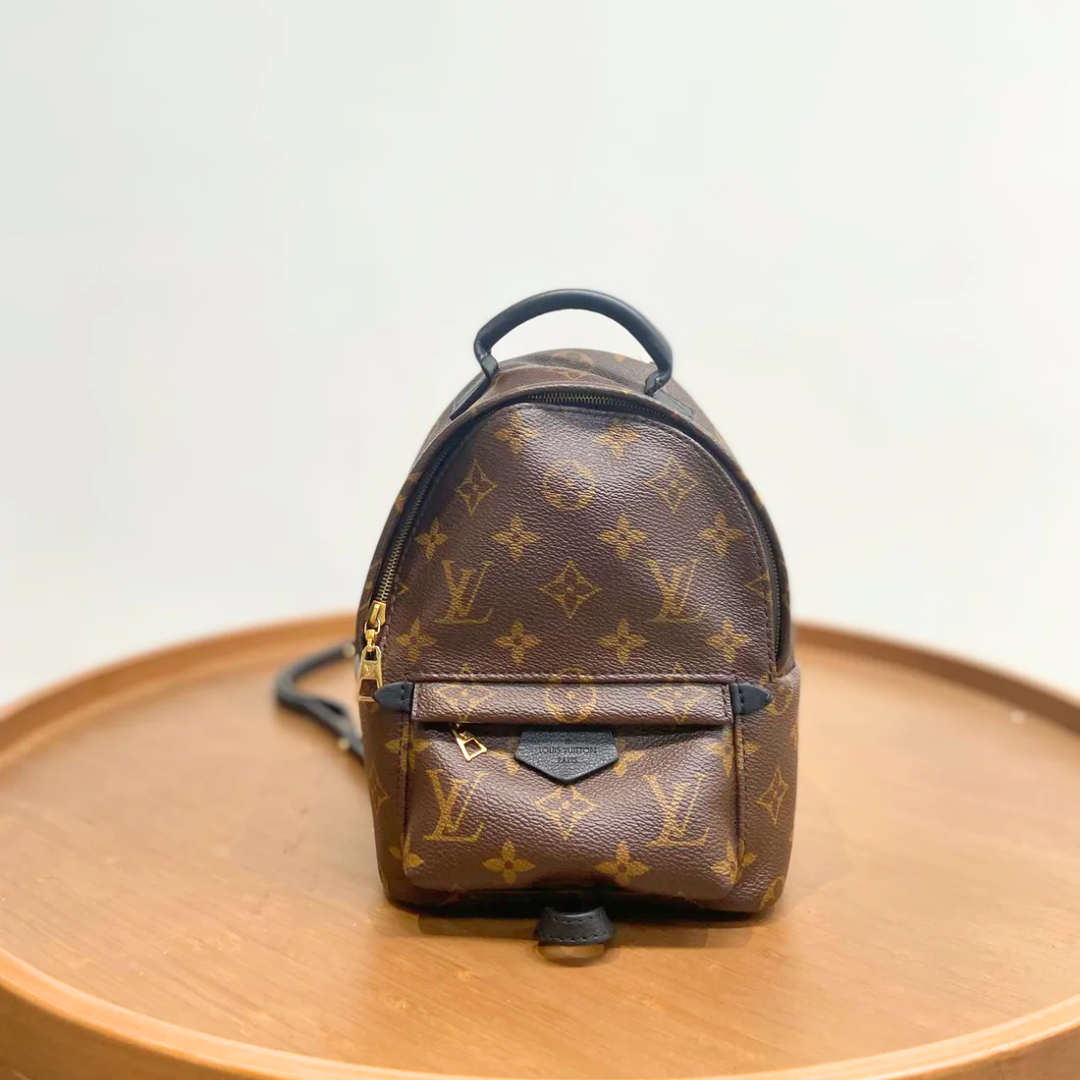 LV mini backpack