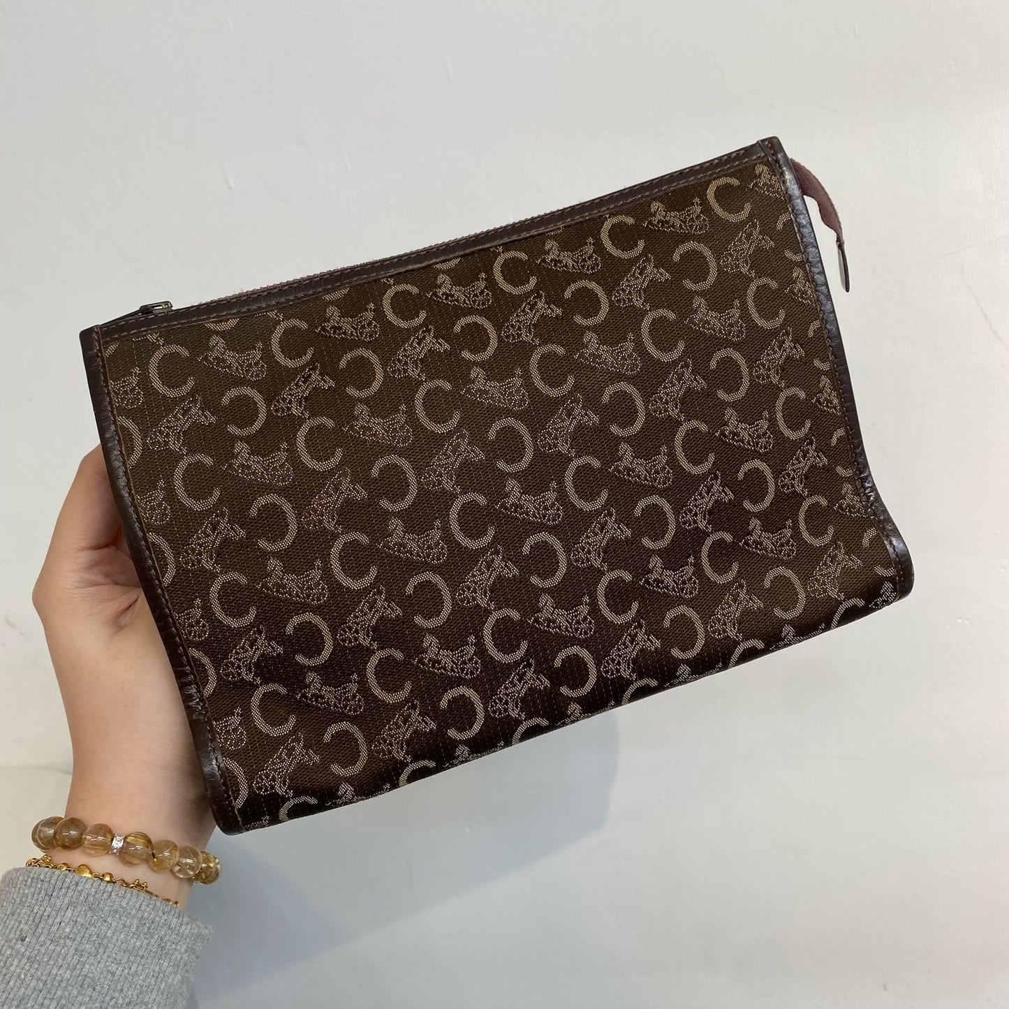 Celine Pouch