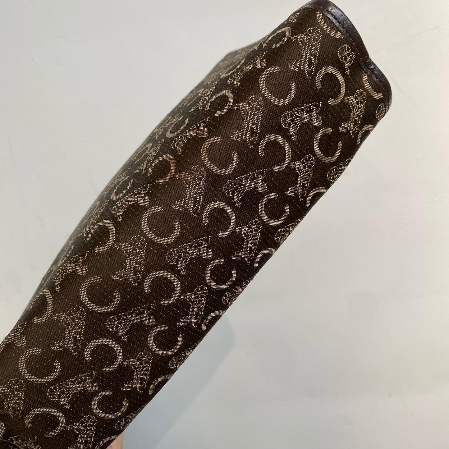 Celine Pouch