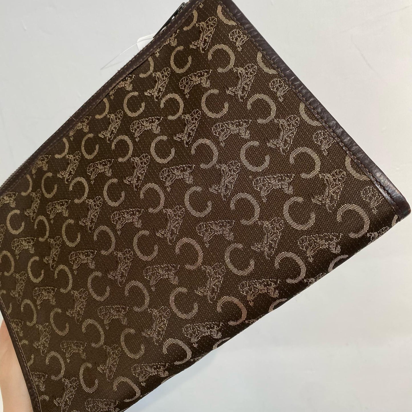 Celine Pouch