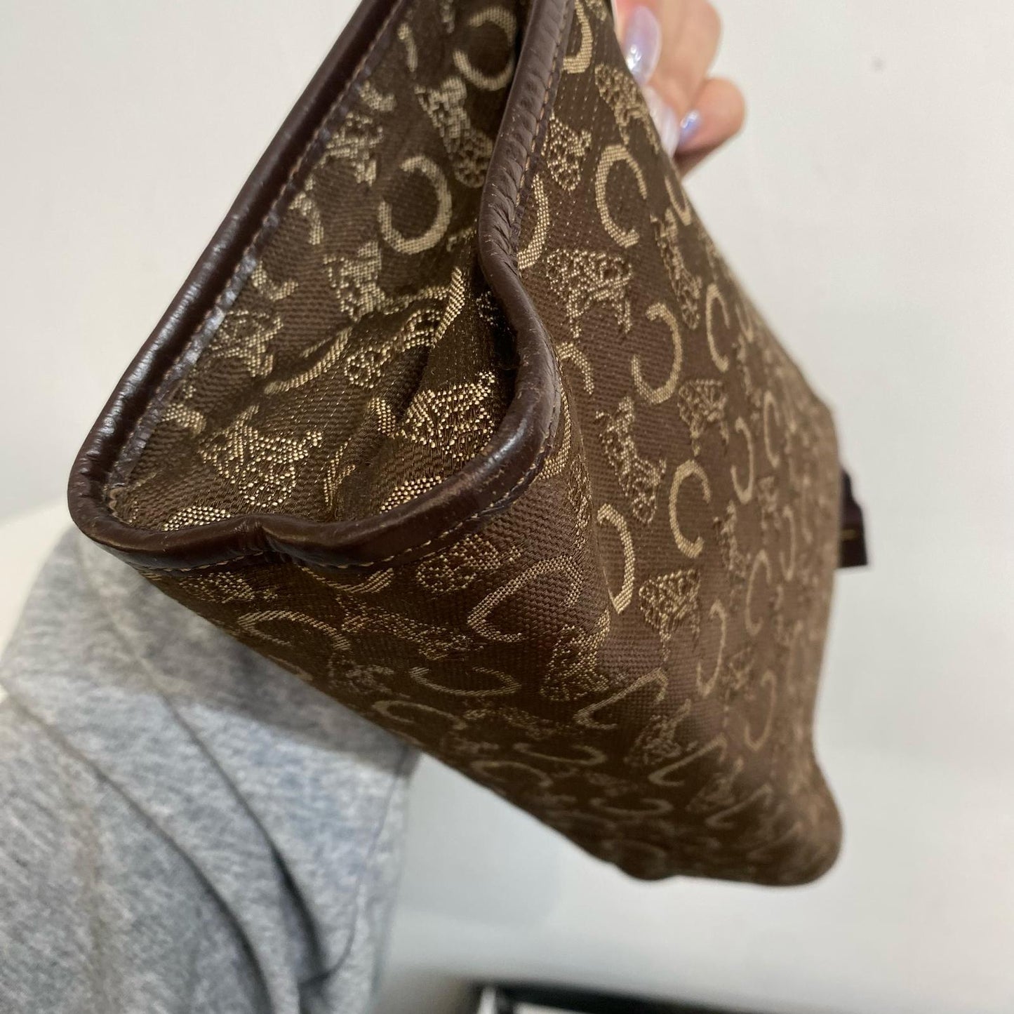 Celine Pouch