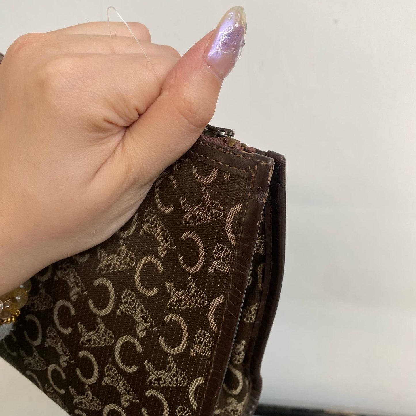 Celine Pouch