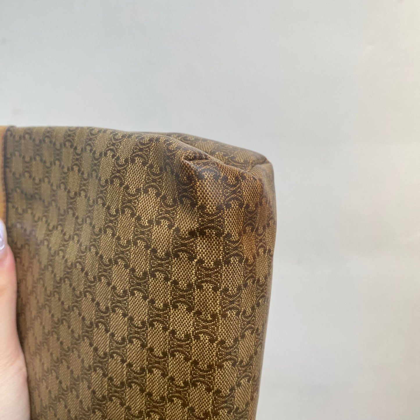 Celine Pouch
