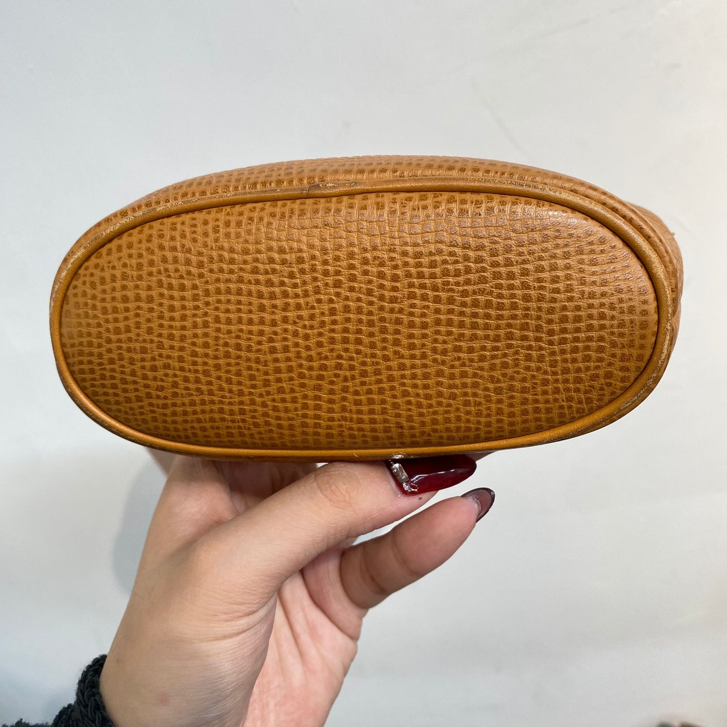 DIOR 金蛋 Pouch