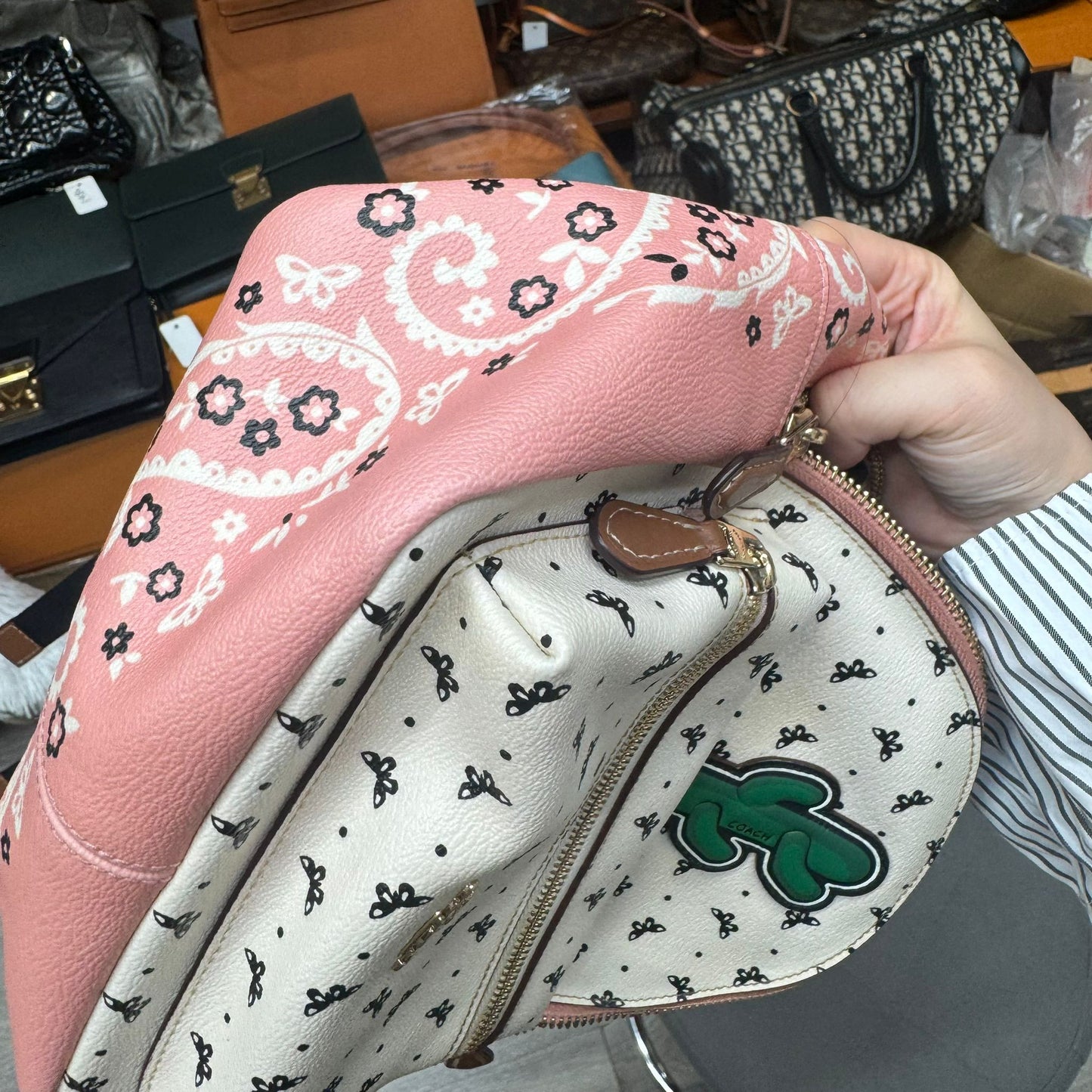 Coach 背囊