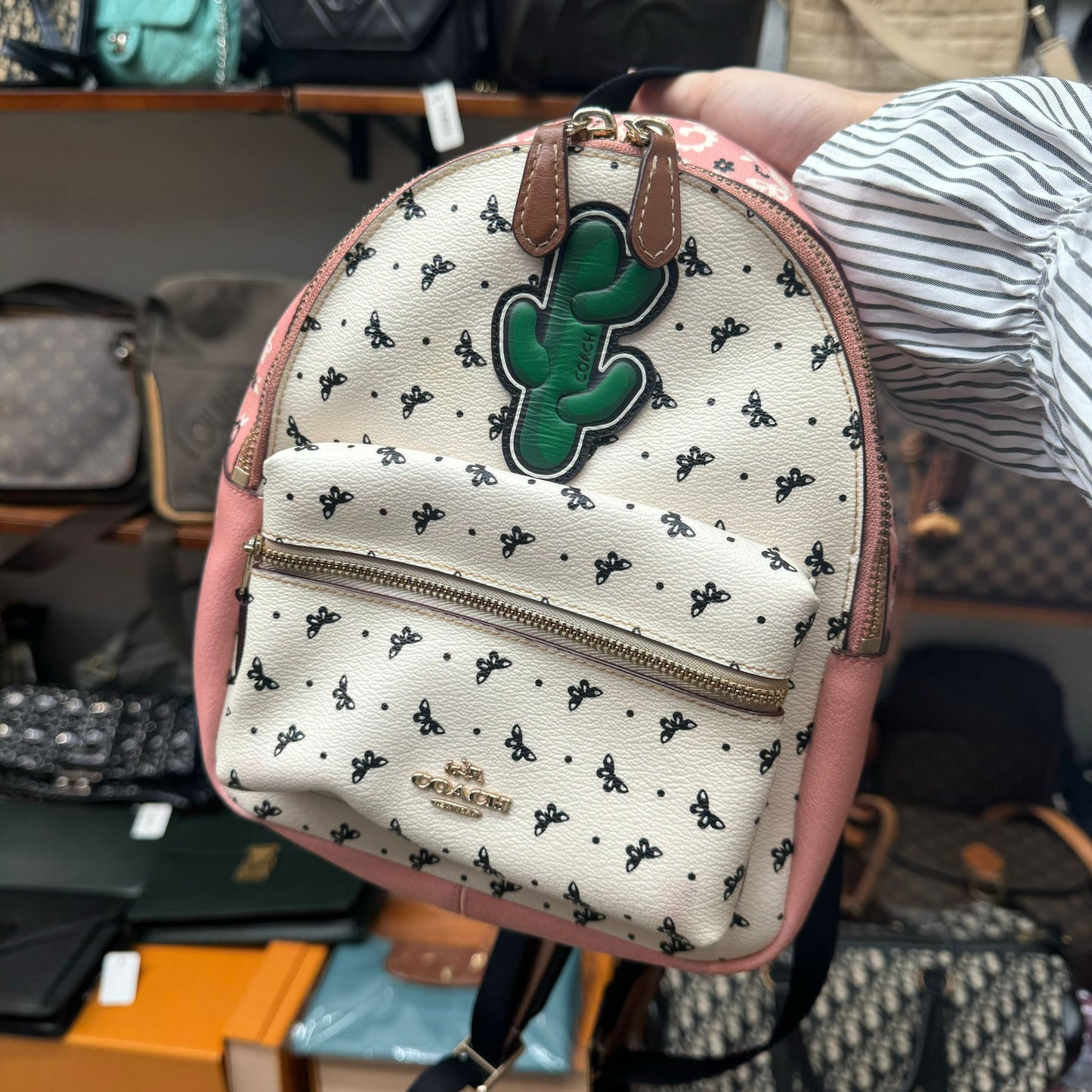 Coach 背囊