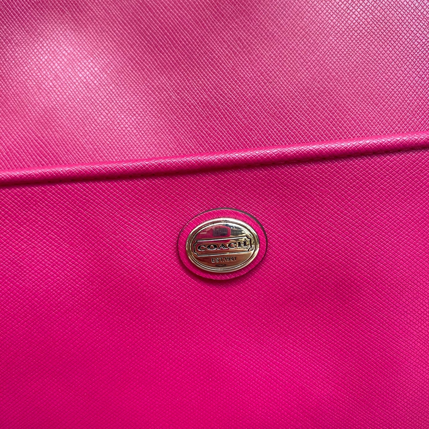 Coach Tote 有塵袋