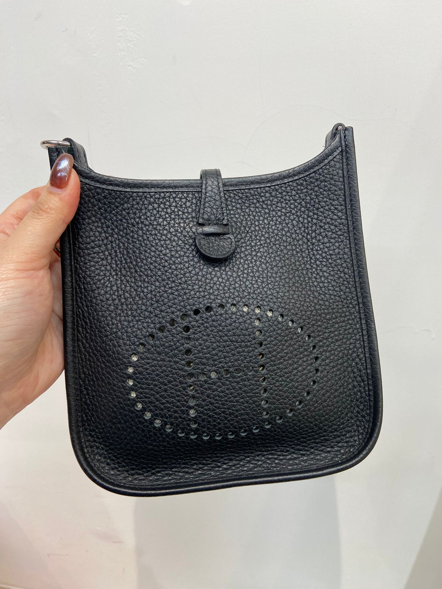 Hermes mini evelyne