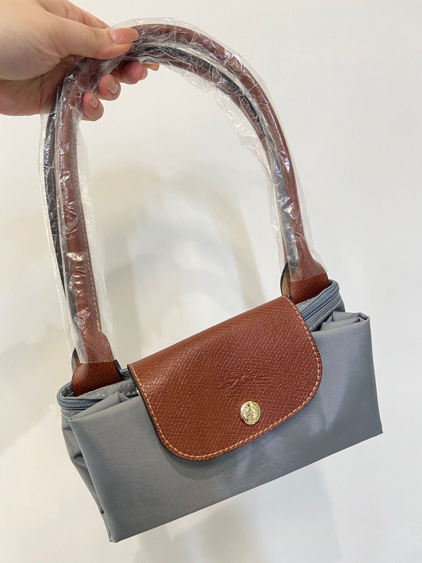 Longchamp le pliage S
