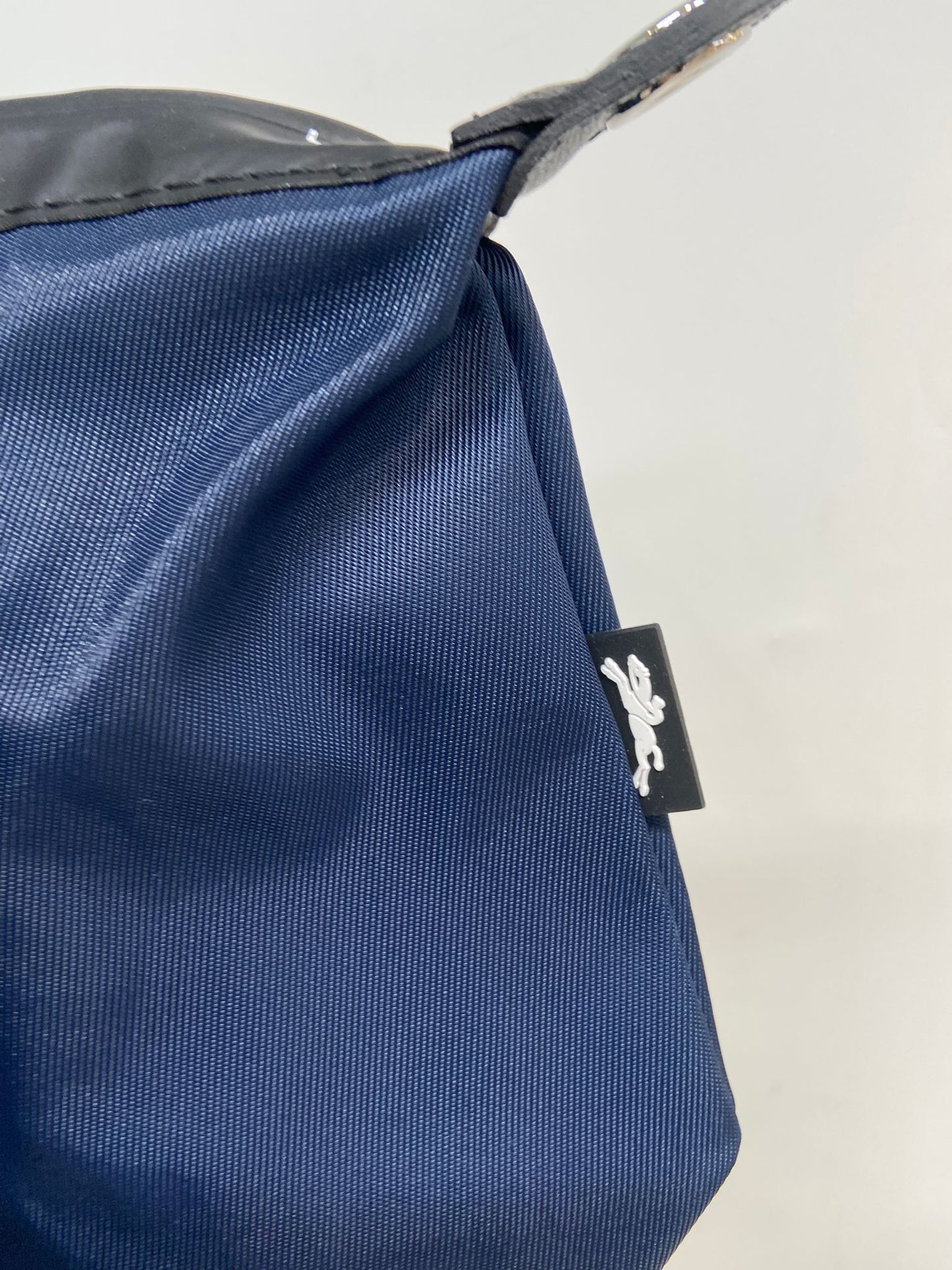Longchamp le pliage 2 ways tote