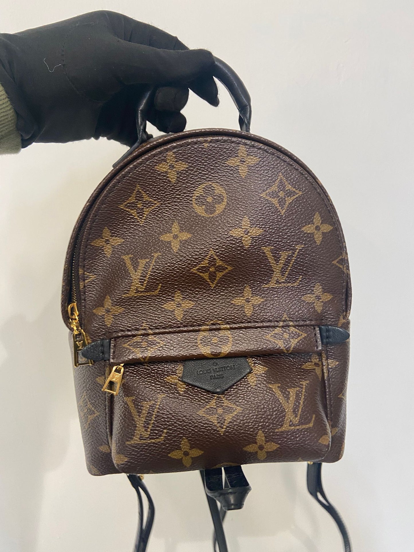 LV Palm Springs Mini 背囊 (M44873)