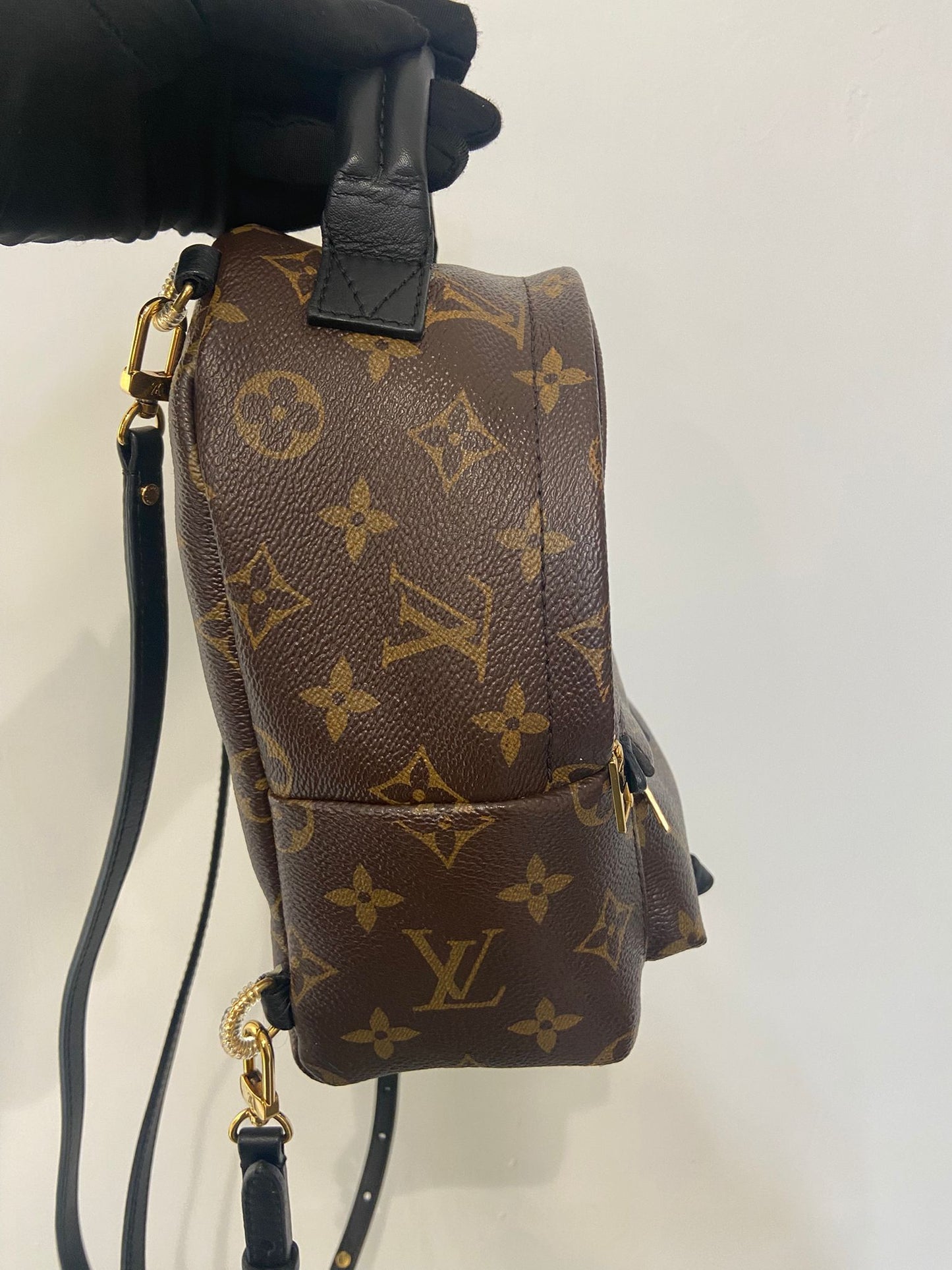 LV Palm Springs Mini 背囊 (M44873)