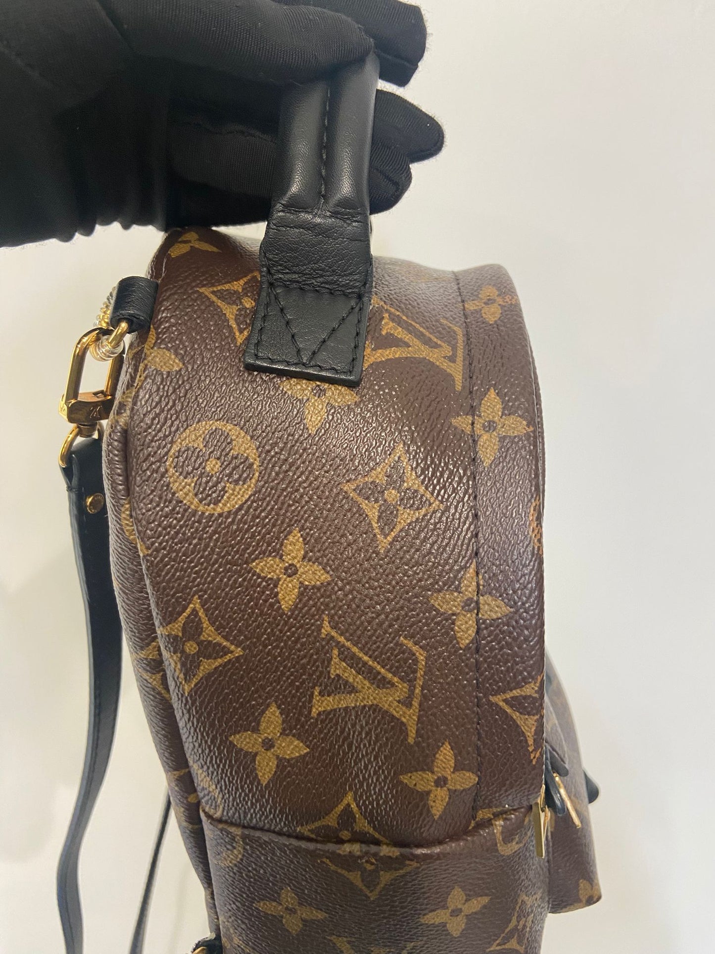 LV Palm Springs Mini 背囊 (M44873)