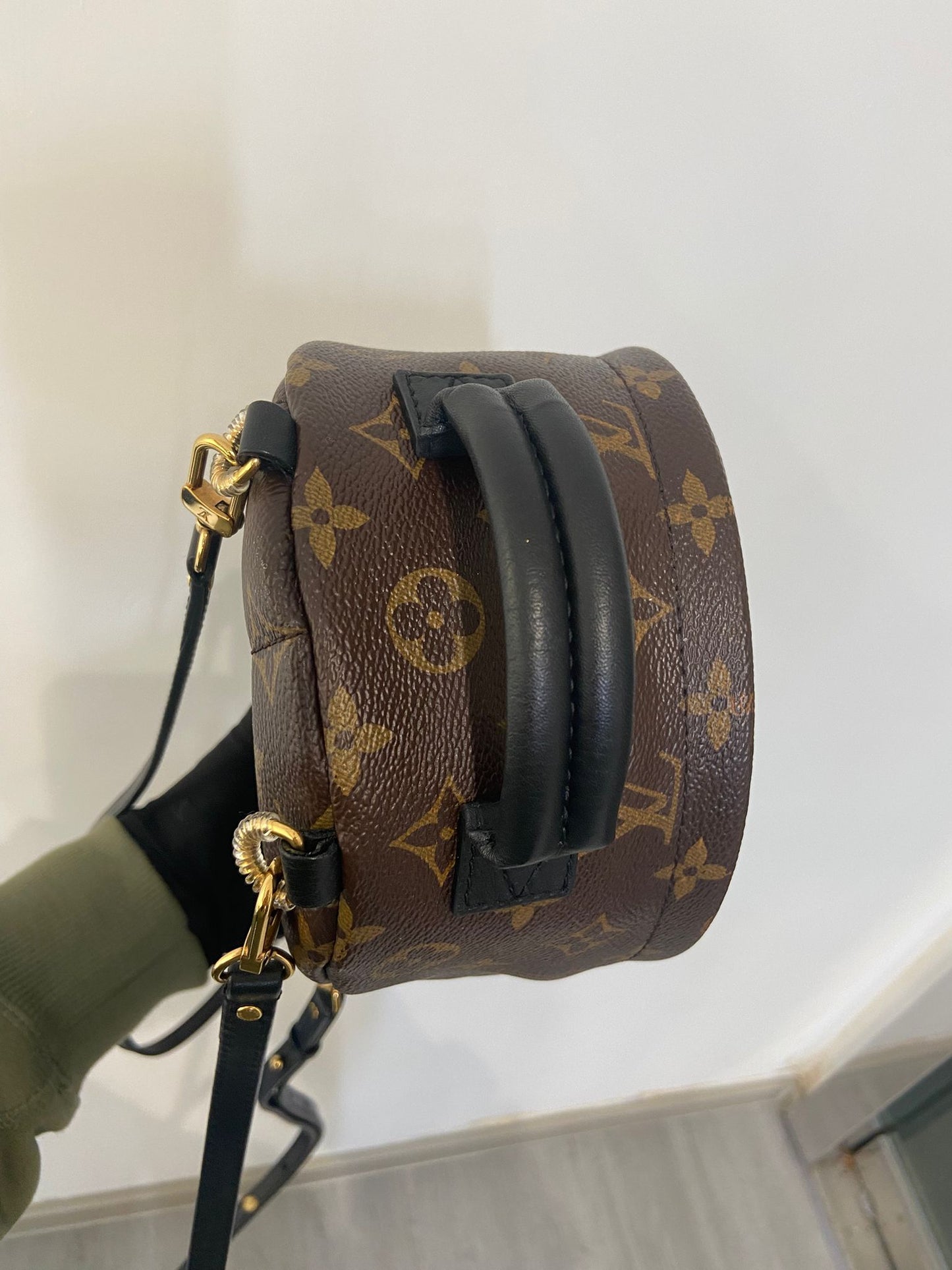 LV Palm Springs Mini 背囊 (M44873)