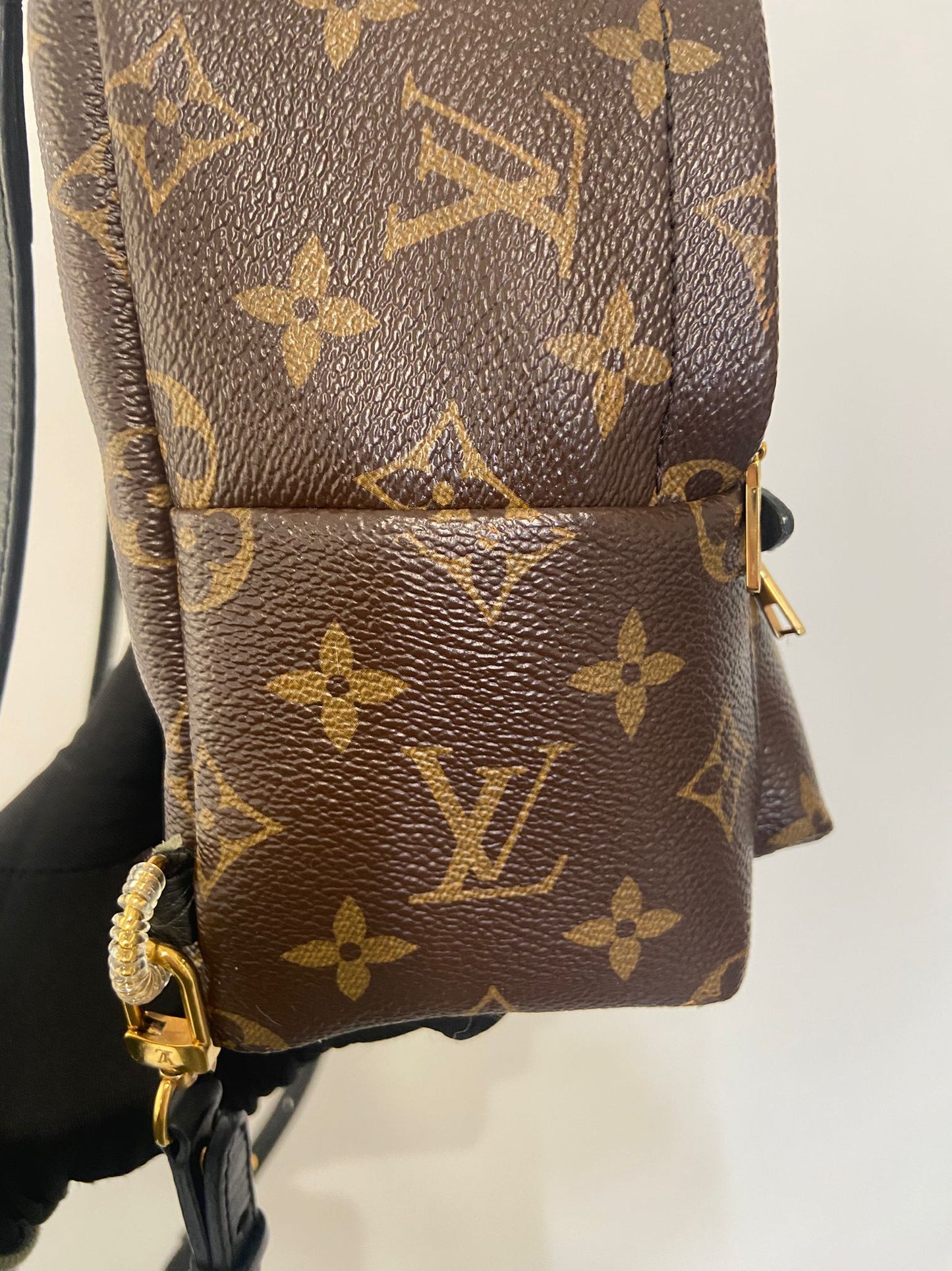 LV Palm Springs Mini 背囊 (M44873)