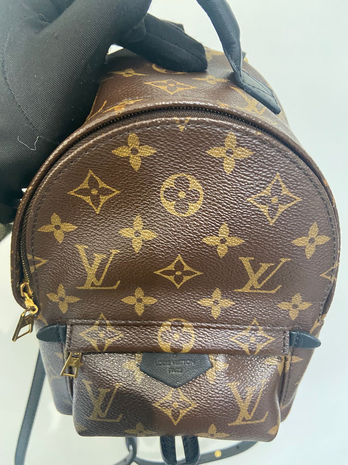 LV Palm Springs Mini 背囊 (M44873)